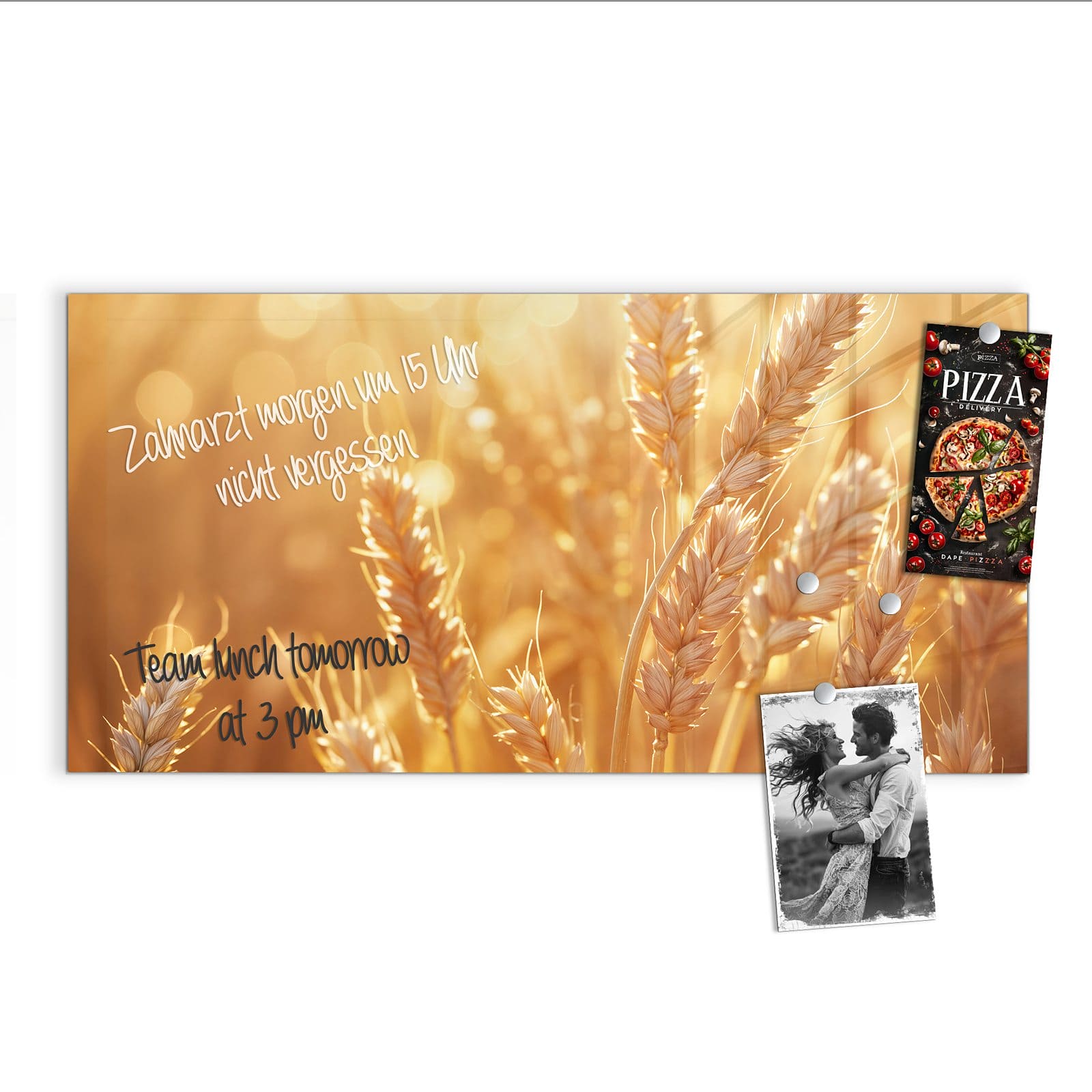 #grösse_100 x 50 cm