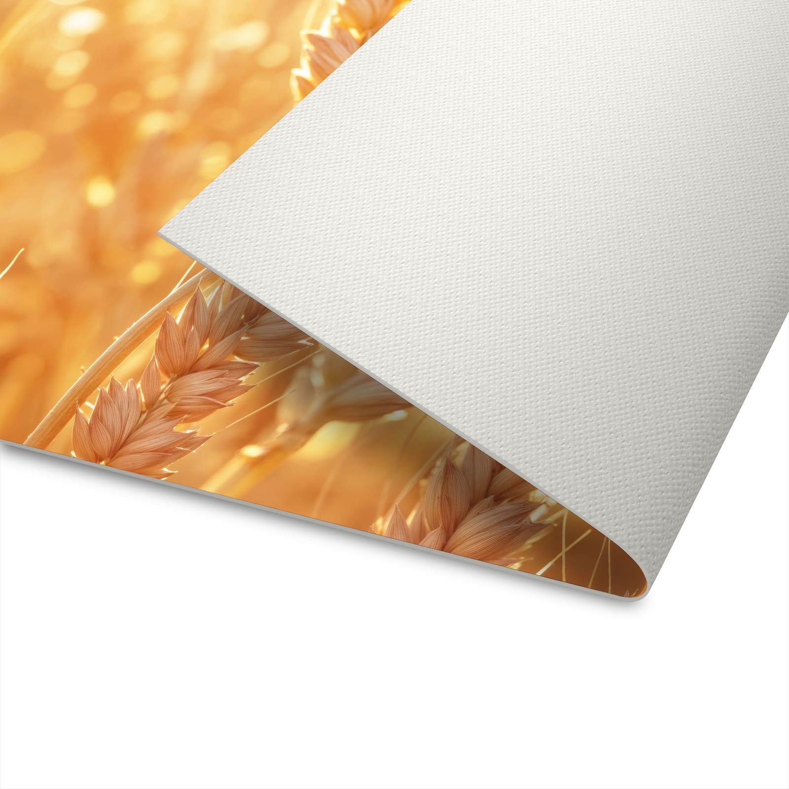 Hygienischer Läufer Küche mit Motiv Weizenfelder in moderner Küche