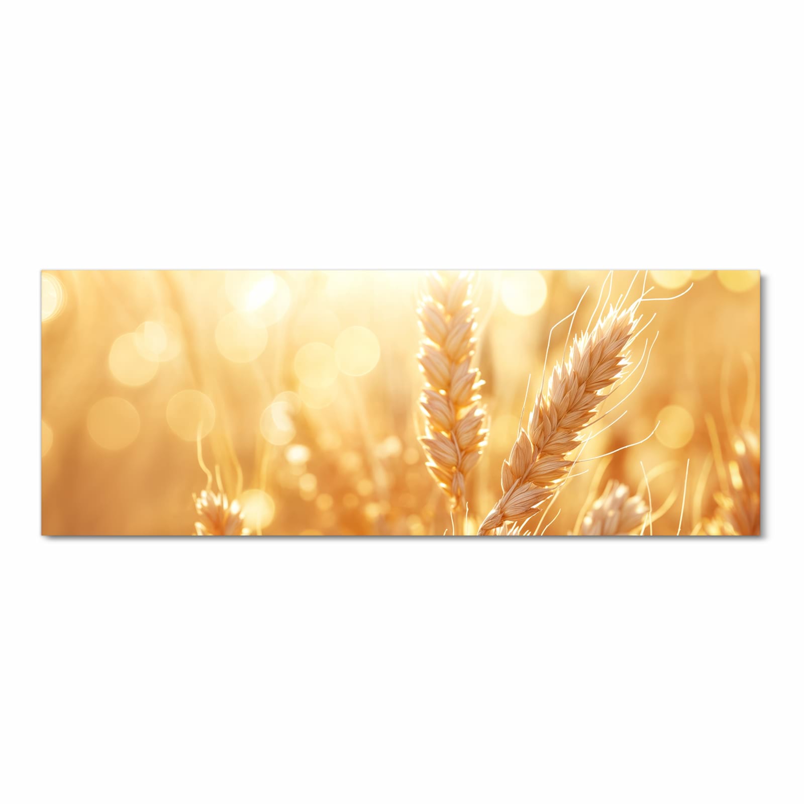 Schmutzabweisender Küchenläufer mit Motiv Weizenfelder in Frontansicht