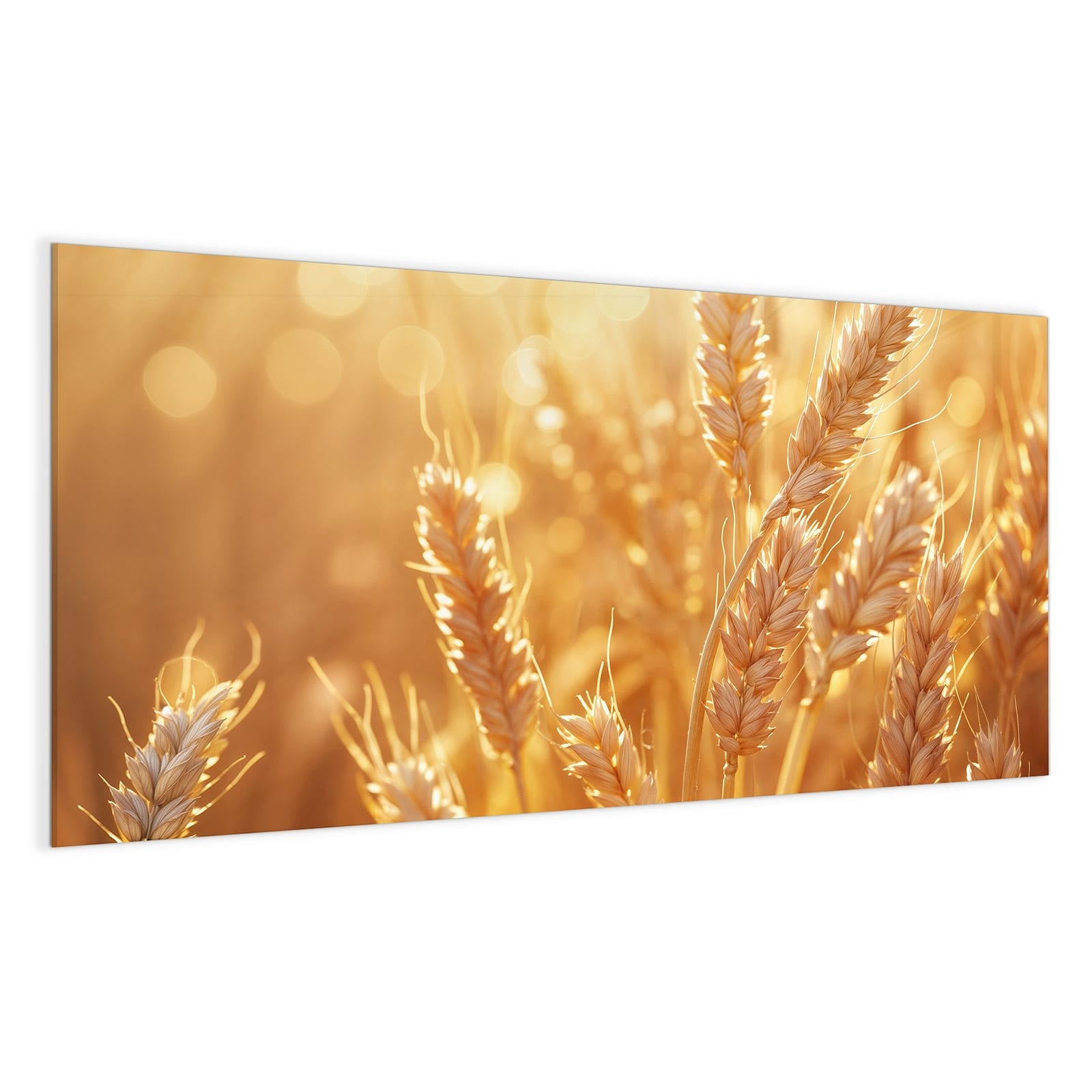 #grösse_100 x 50 cm