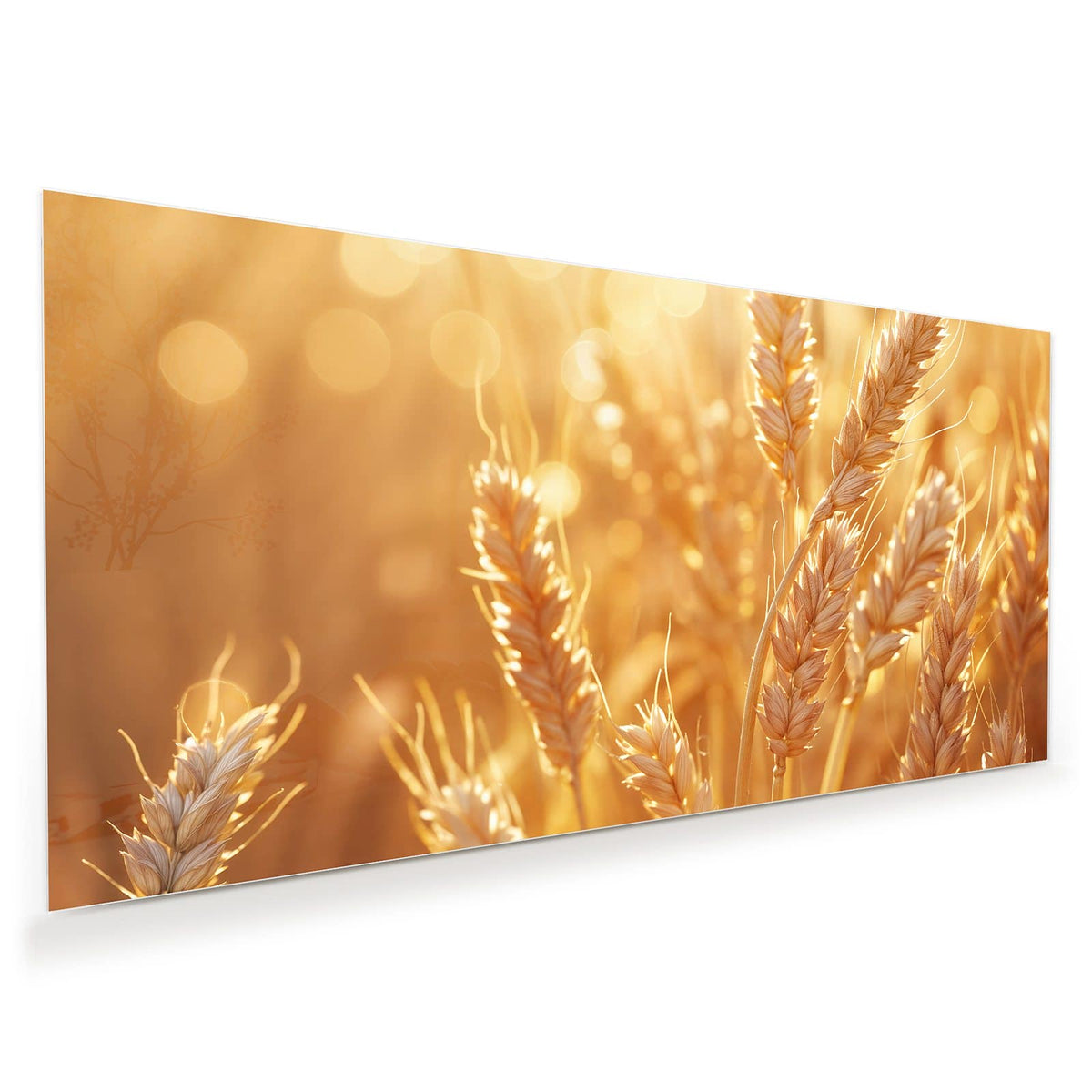 Reife Weizenähren in Nahaufnahme vor goldenem Bokeh