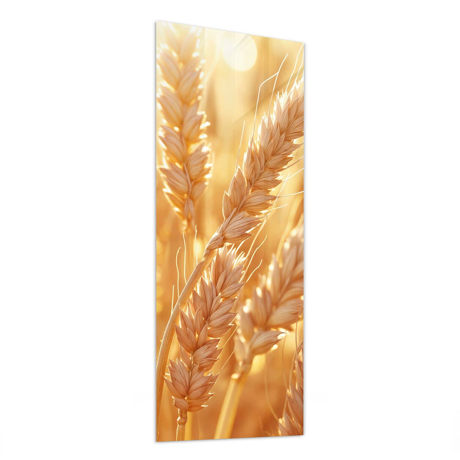 #grösse_50 x 125 cm #grösse_40 x 100 cm #grösse_60 x 150 cm