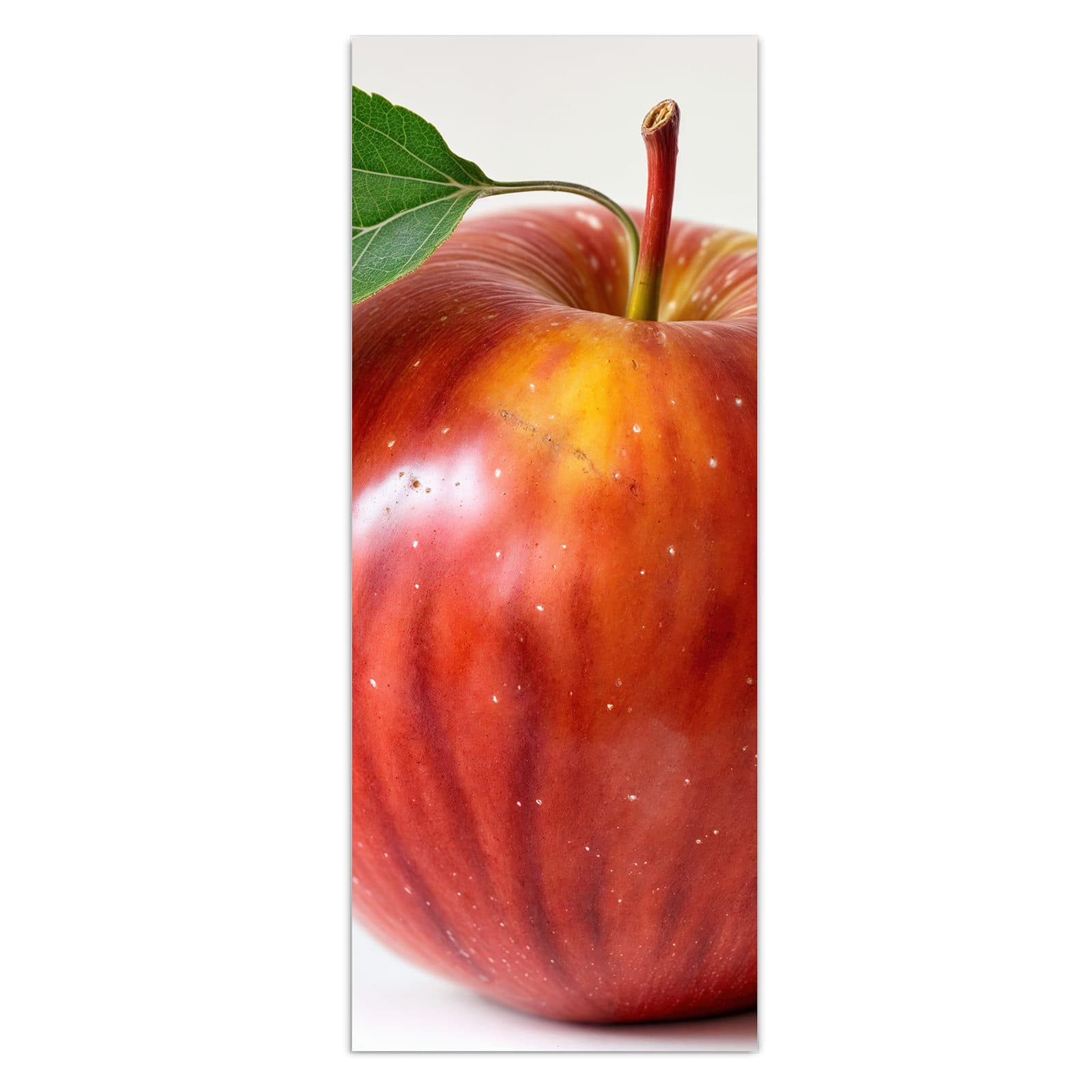 #grösse_50 x 125 cm #grösse_40 x 100 cm #grösse_60 x 150 cm