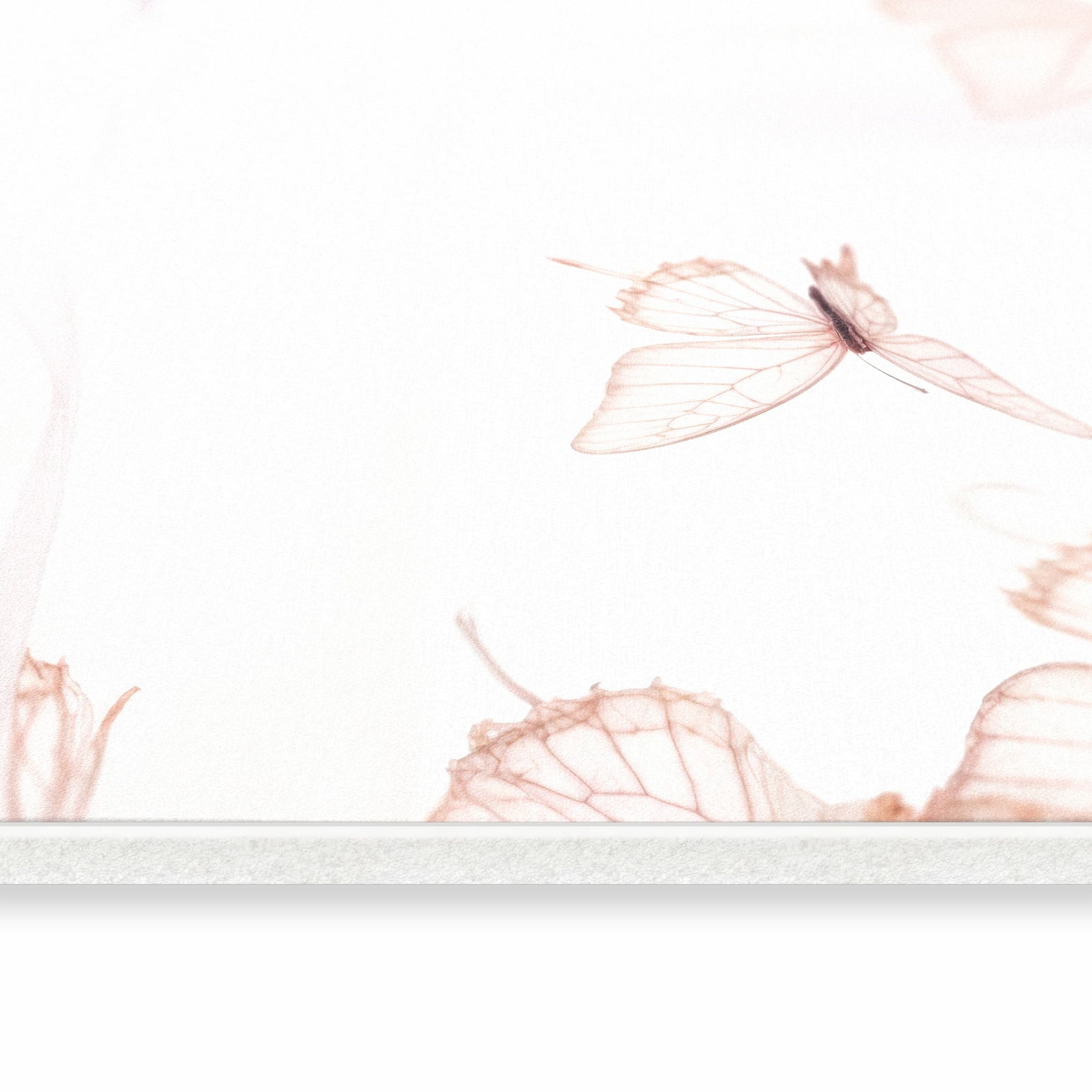 Wasserabweisender Läufer für Eingangsbereich mit Motiv Schmetterlinge Vorhangsins in seitlicher Ansicht