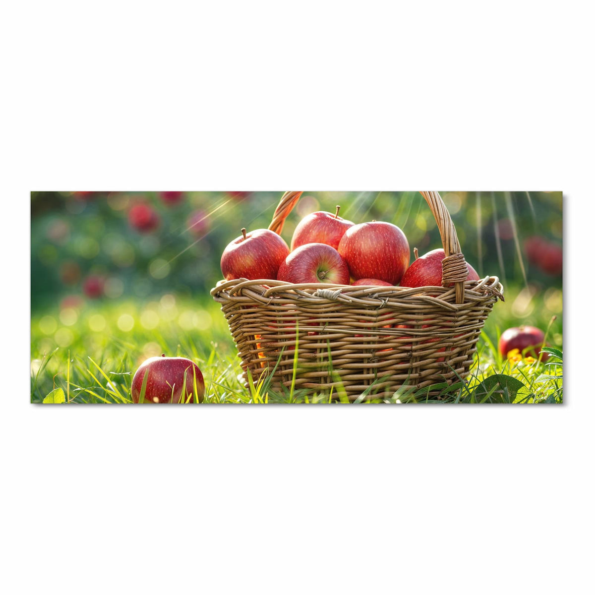 Weidenkorb voller roter Äpfel im Gras, Sonnenstrahlen durch die Bäume dahinter