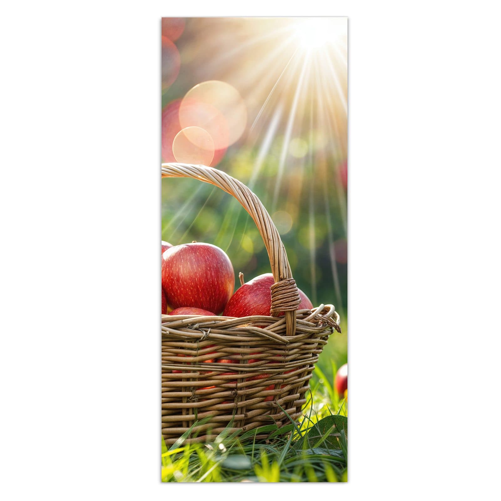 #grösse_50 x 125 cm #grösse_40 x 100 cm #grösse_60 x 150 cm