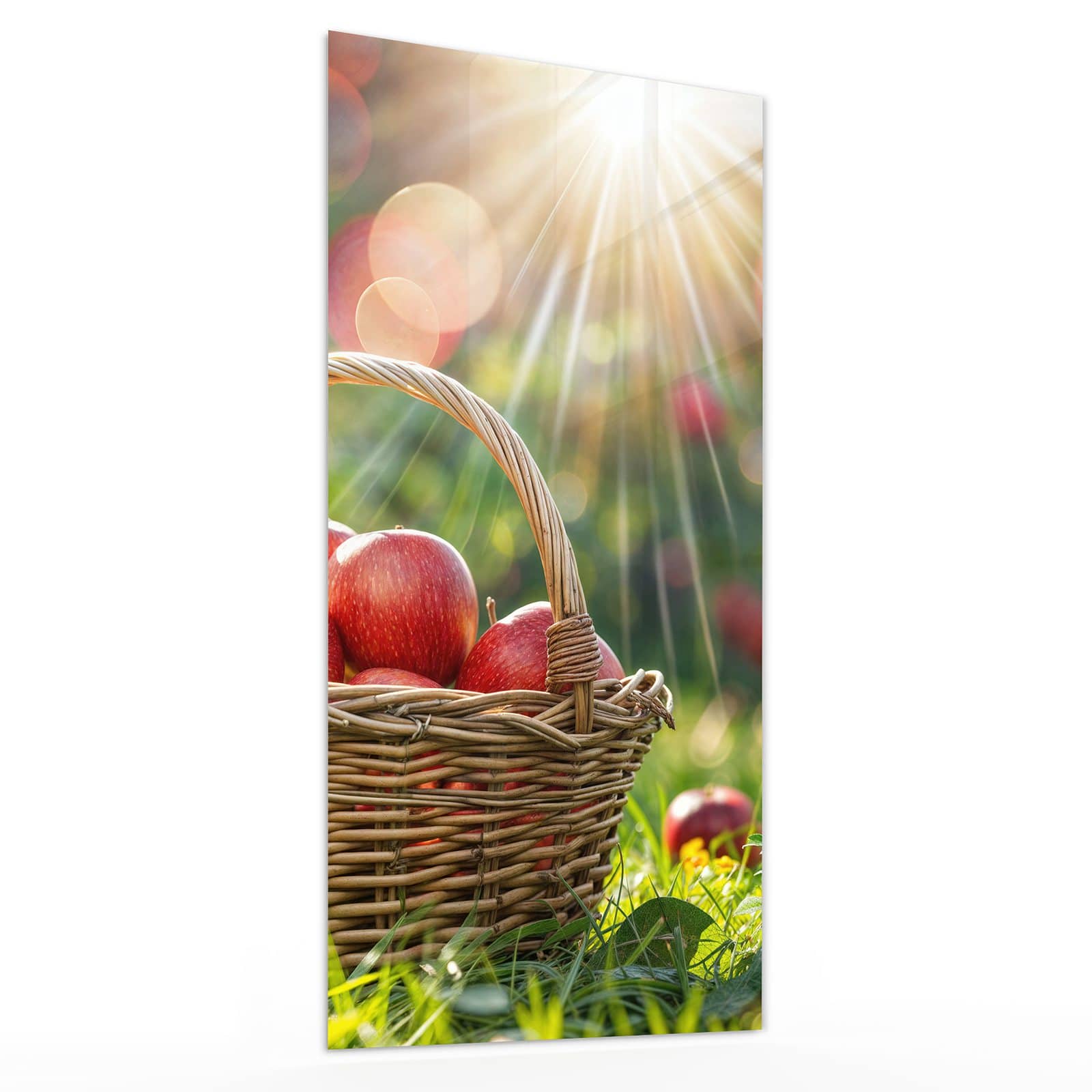 #grösse_30 x 60 cm #grösse_40 x 80 cm #grösse_50 x 100 cm #grösse_55 x 110 cm #grösse_60 x 120 cm