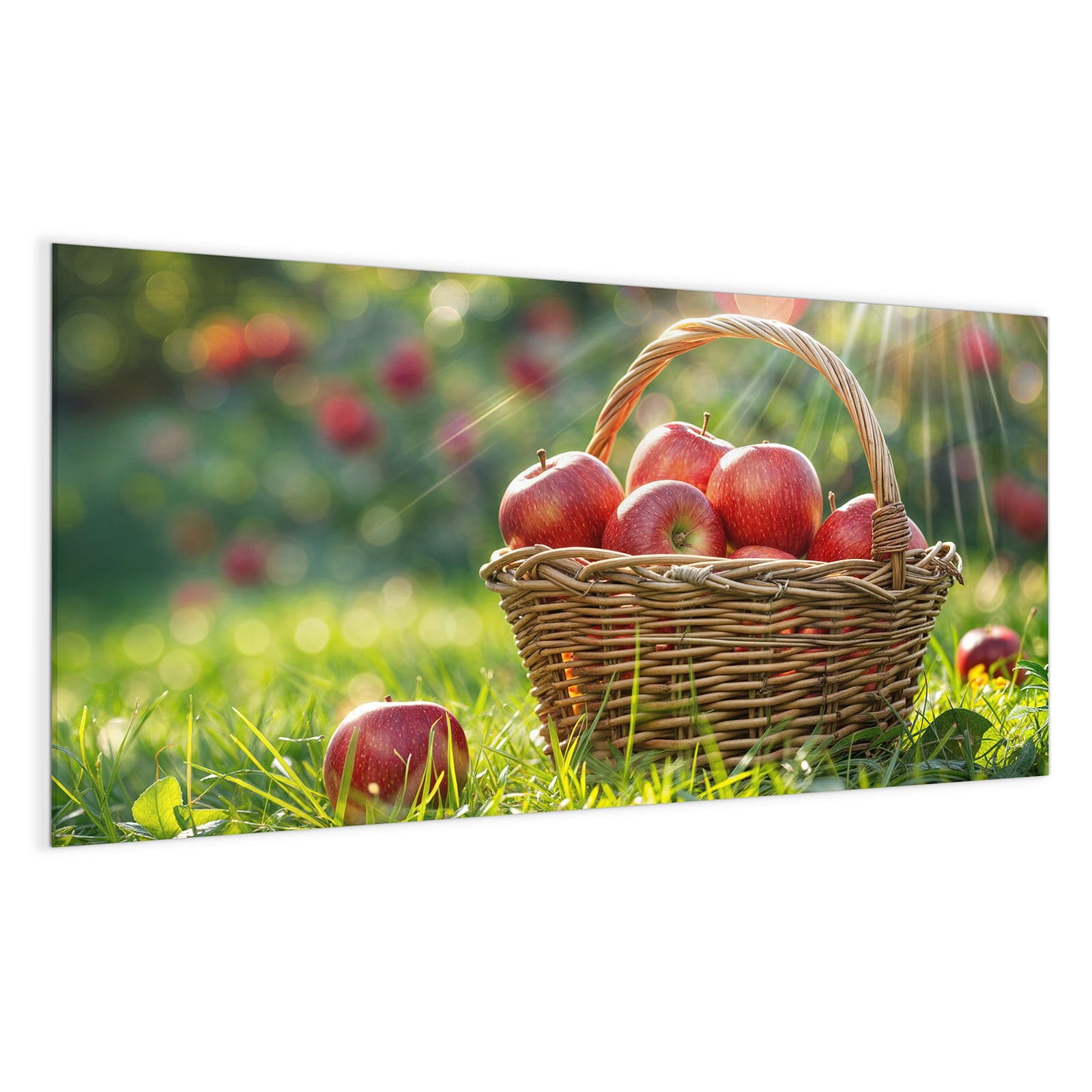 #grösse_100 x 50 cm