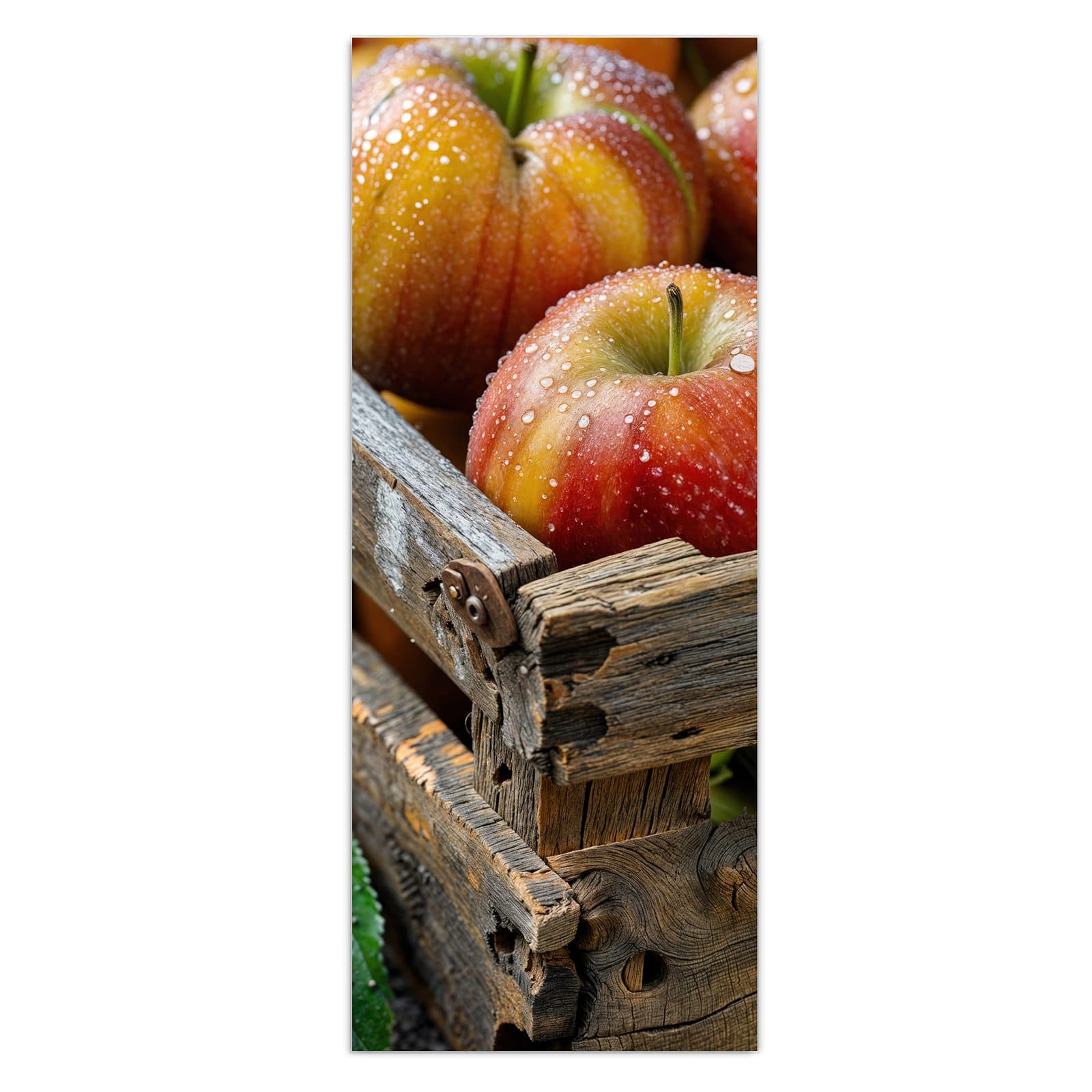 #grösse_50 x 125 cm #grösse_40 x 100 cm #grösse_60 x 150 cm