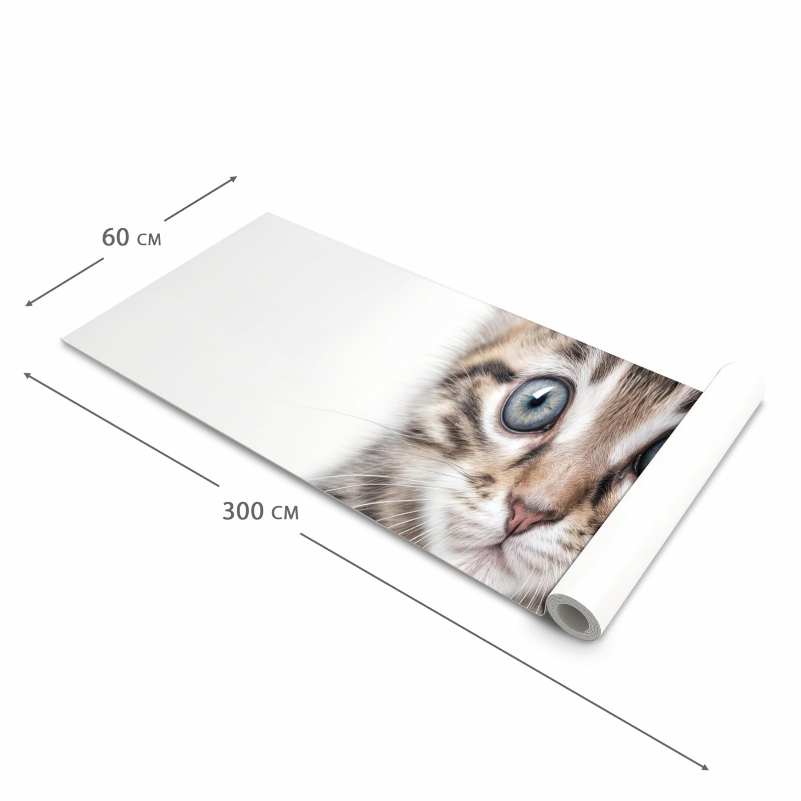 Dünner waschbarer Küchenteppich mit Motiv Sanfte Katzenjunges in der Grösse 60x150 cm