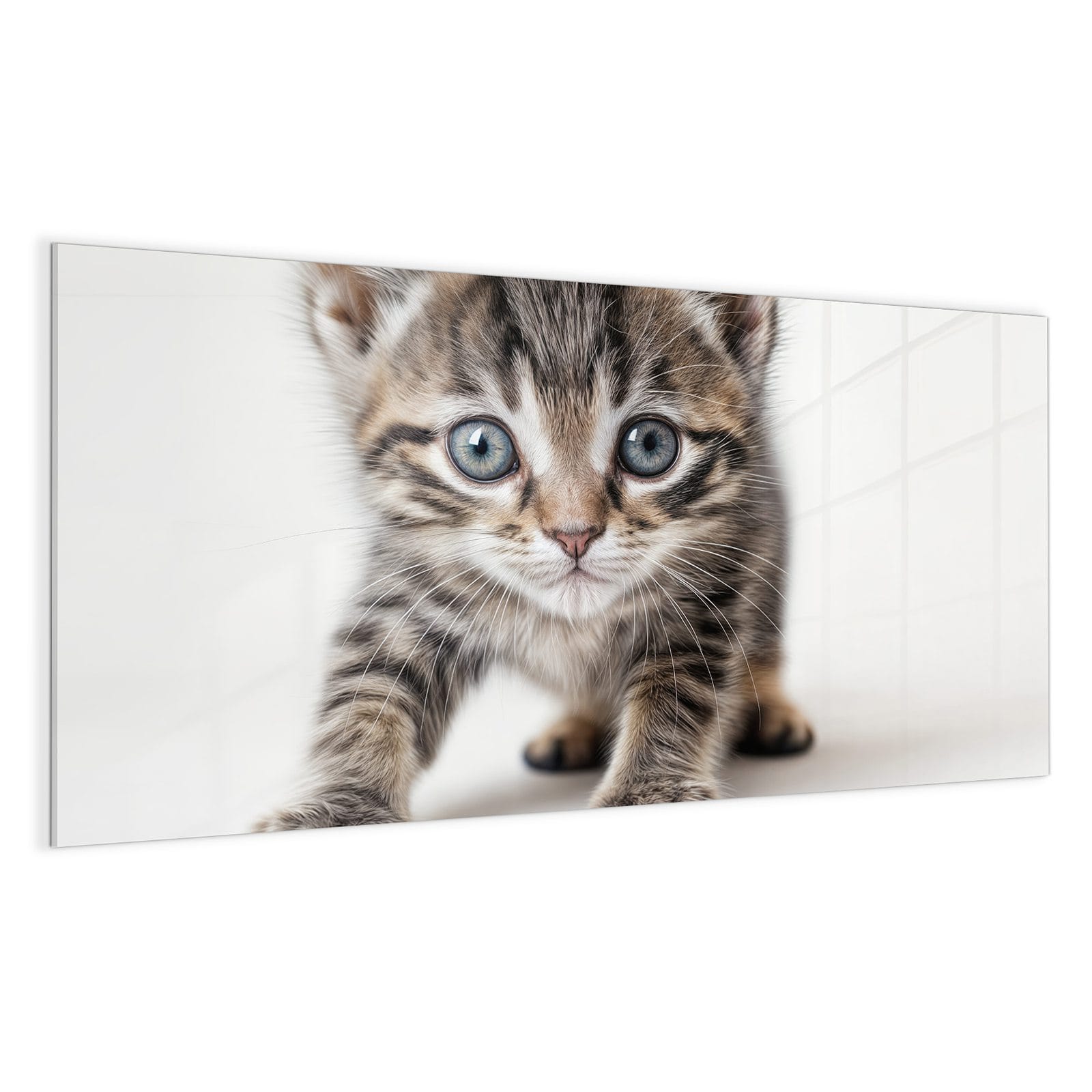 #grösse_100 x 50 cm