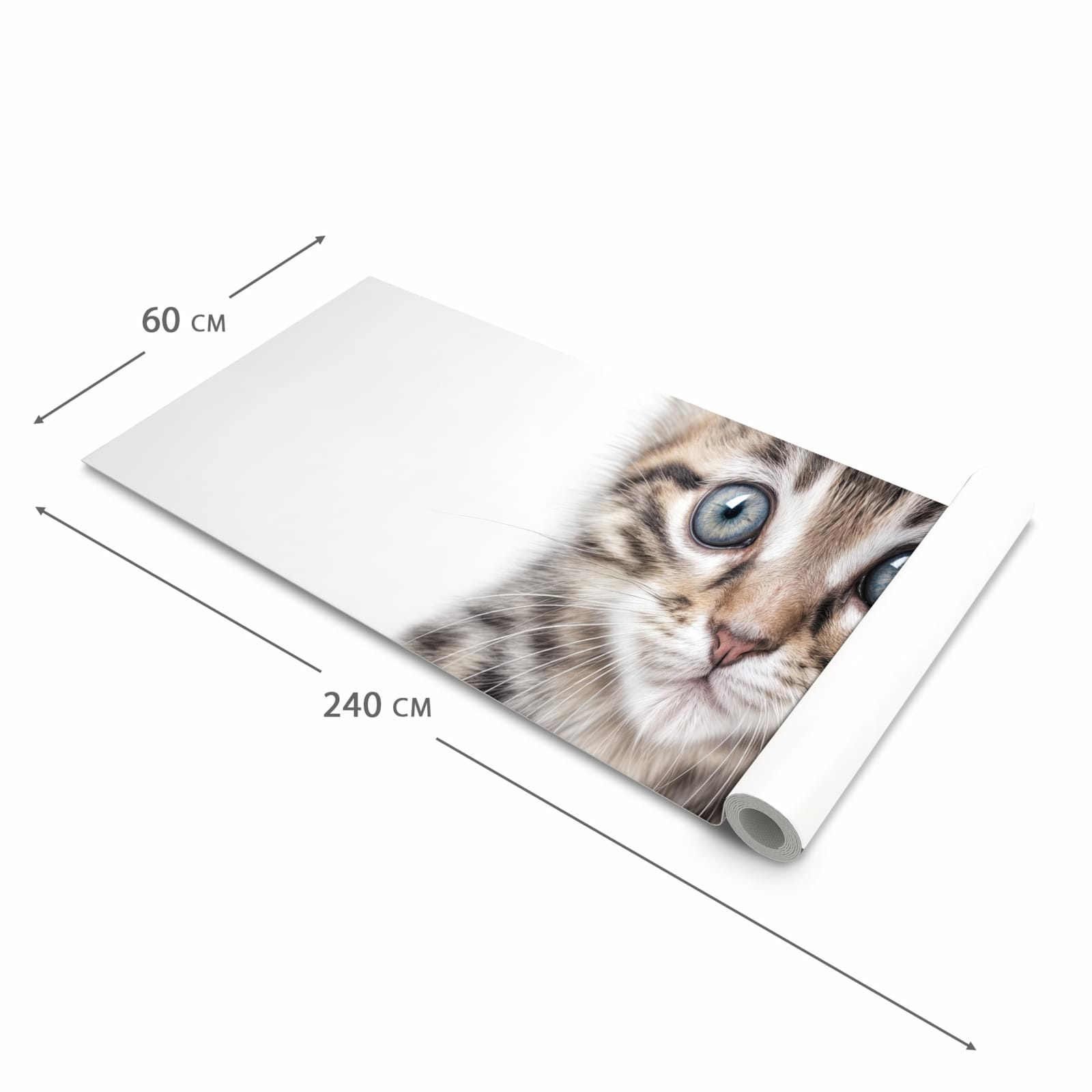 Feuchtigkeitsresistenter dünner Küchenteppich mit Motiv Sanfte Katzenjunges in der Grösse 60x150 cm