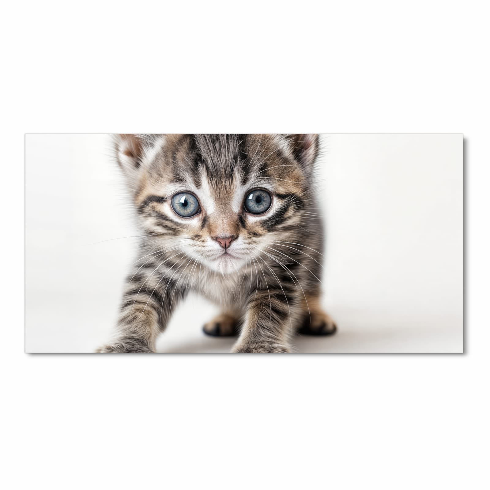 Flacher Küchenläufer mit Motiv Sanfte Katzenjunges in Frontansicht für die Küche