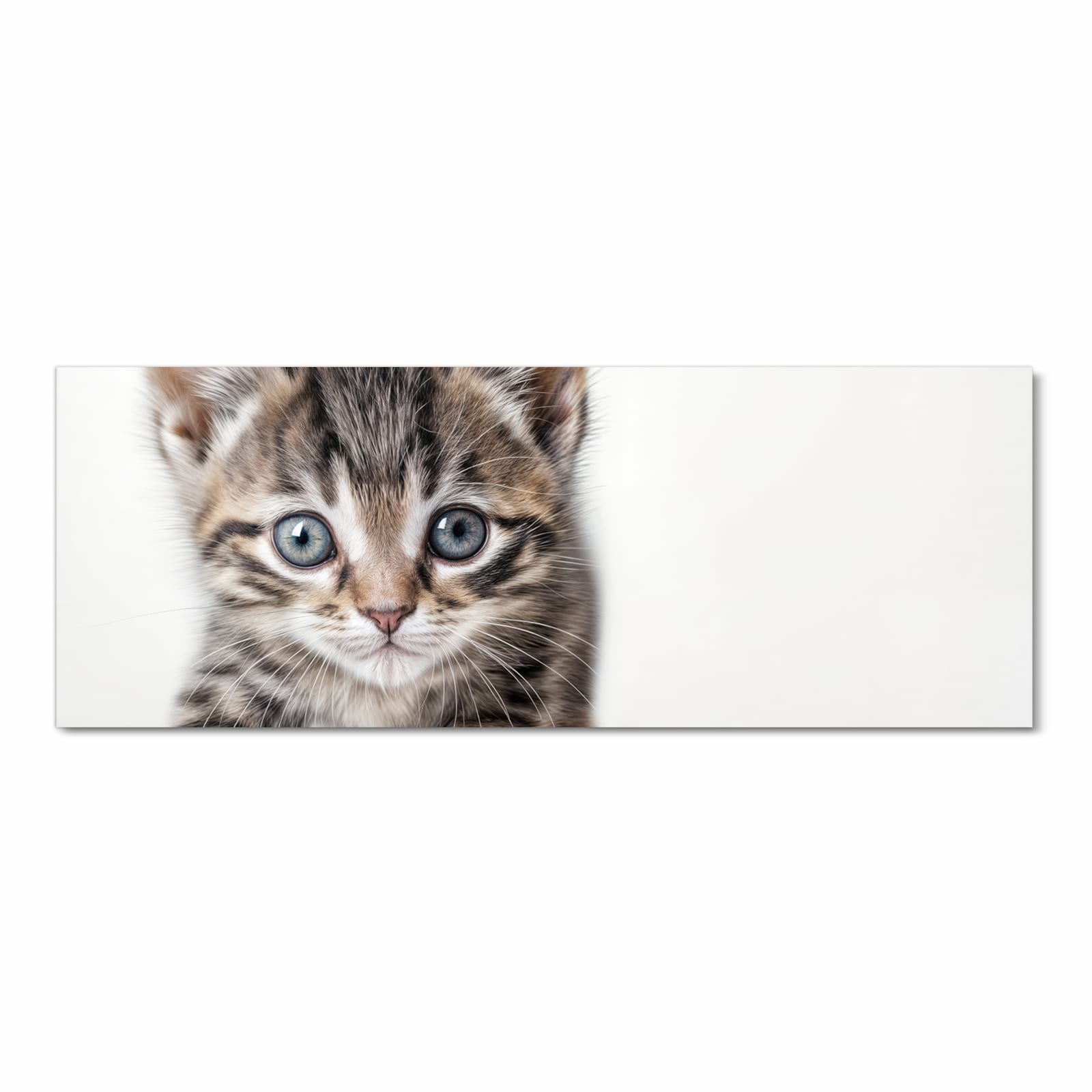 Rutschfester Teppich fürs Esszimmer mit Motiv Sanfte Katzenjunges in Frontansicht, waschbar