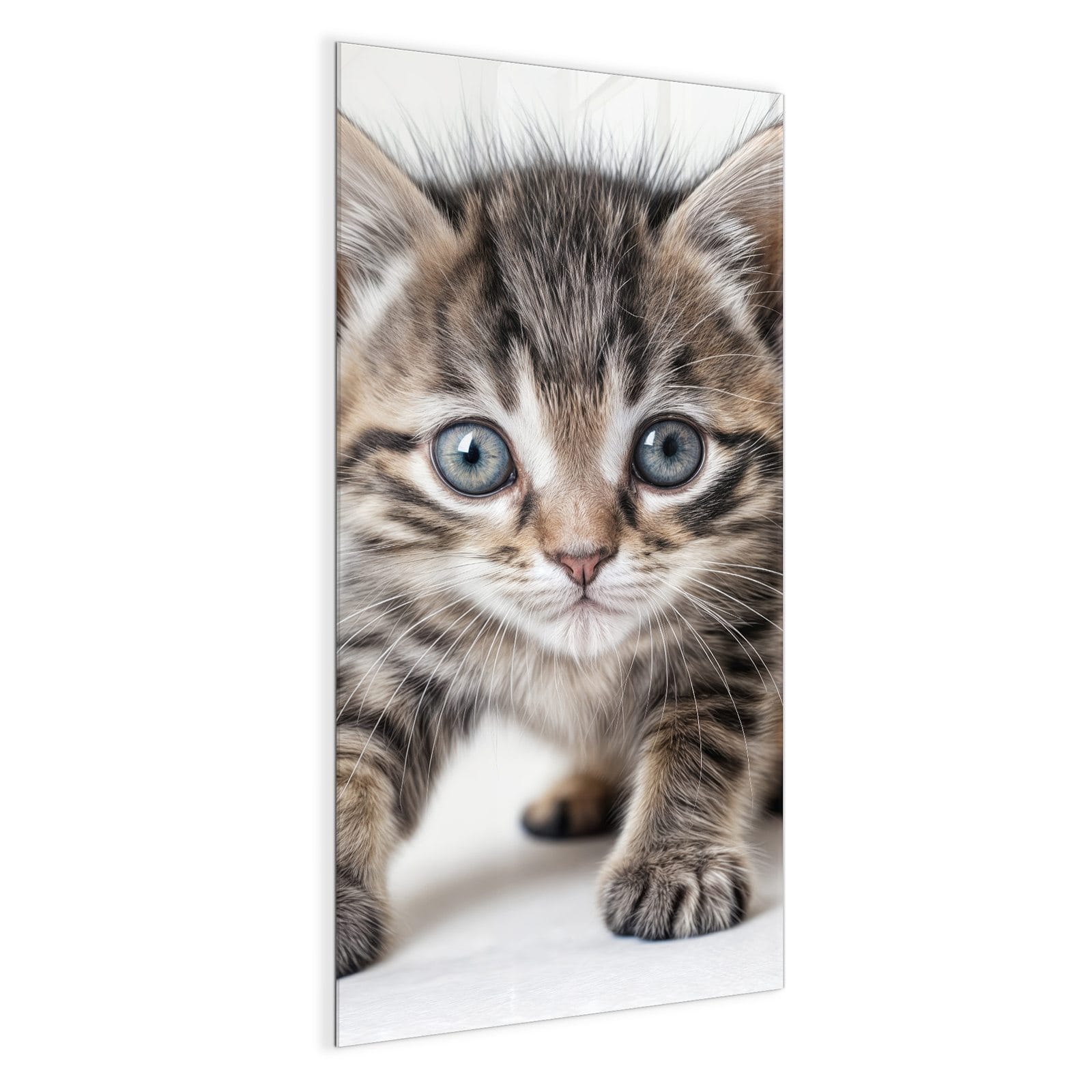 #grösse_50 x 100 cm