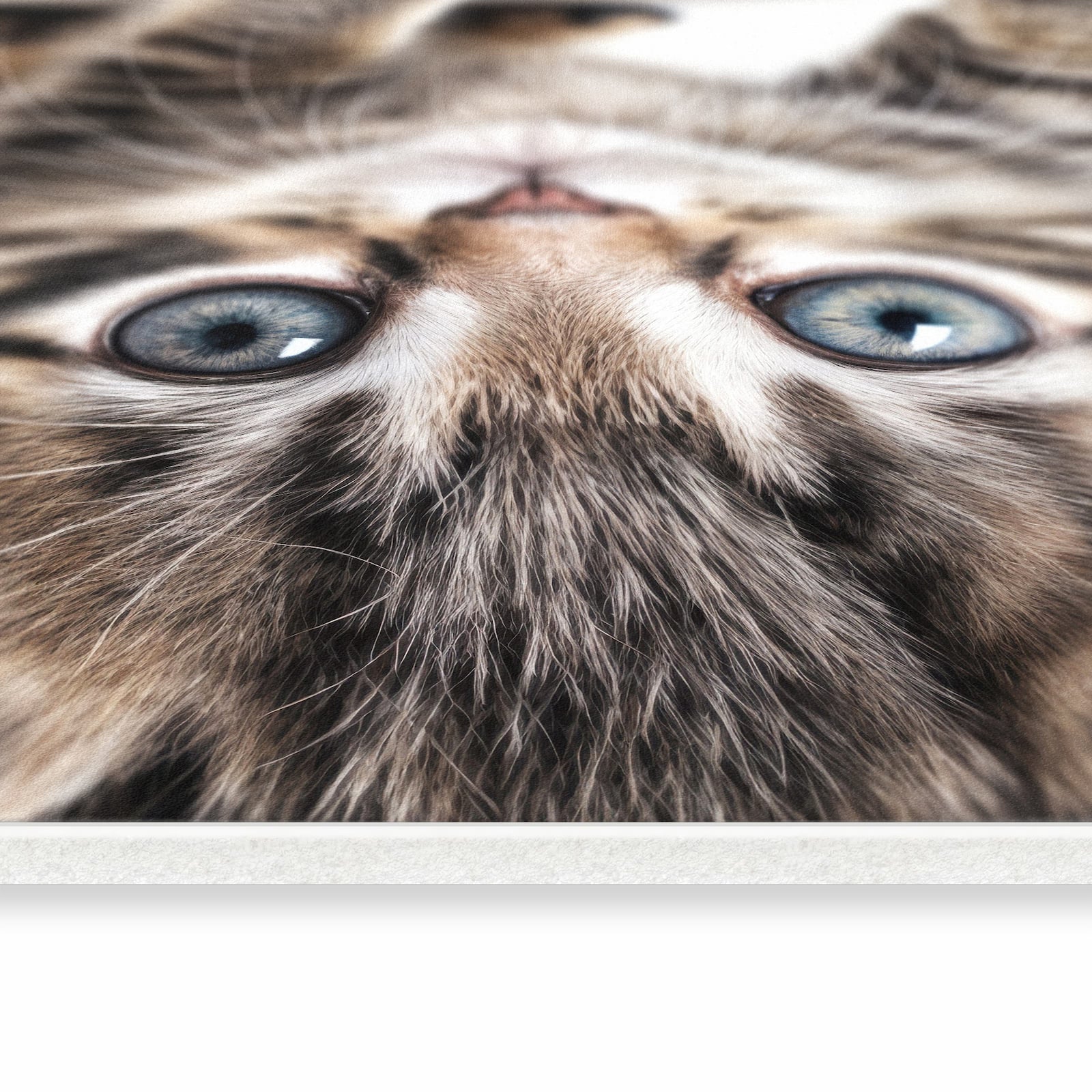 Bodenschonender Küchenläufer mit Motiv Sanfte Katzenjunges in seitlicher Ansicht