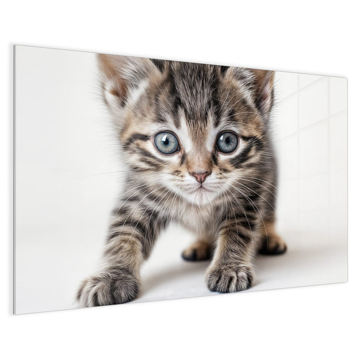 4 mm Glas statt lackiertem Blech – Magnettafel - Kätzchen auf Weiß