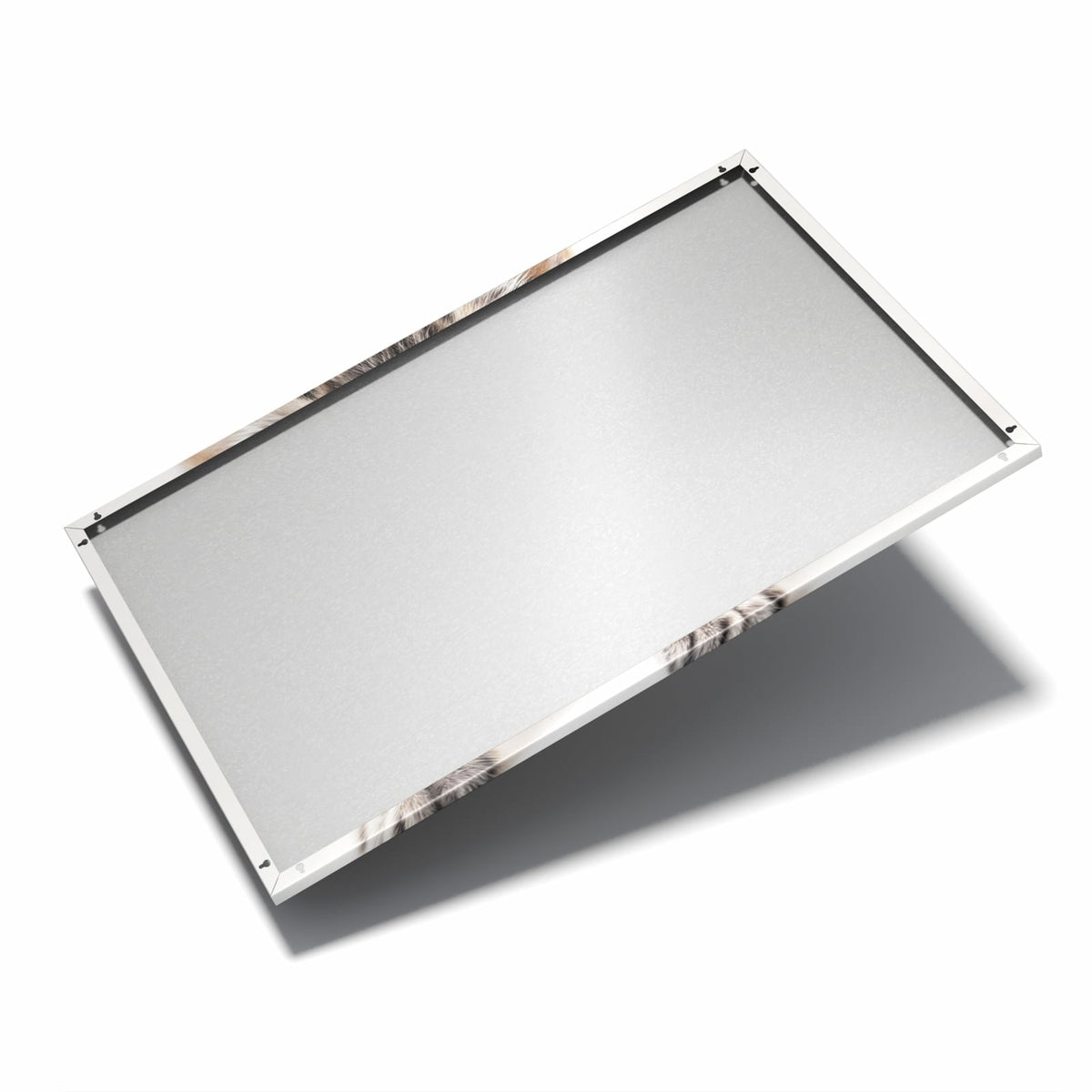 Nur 7 mm – liegt eng an der Wand – Metall Magnettafel - Kätzchen auf Weiß