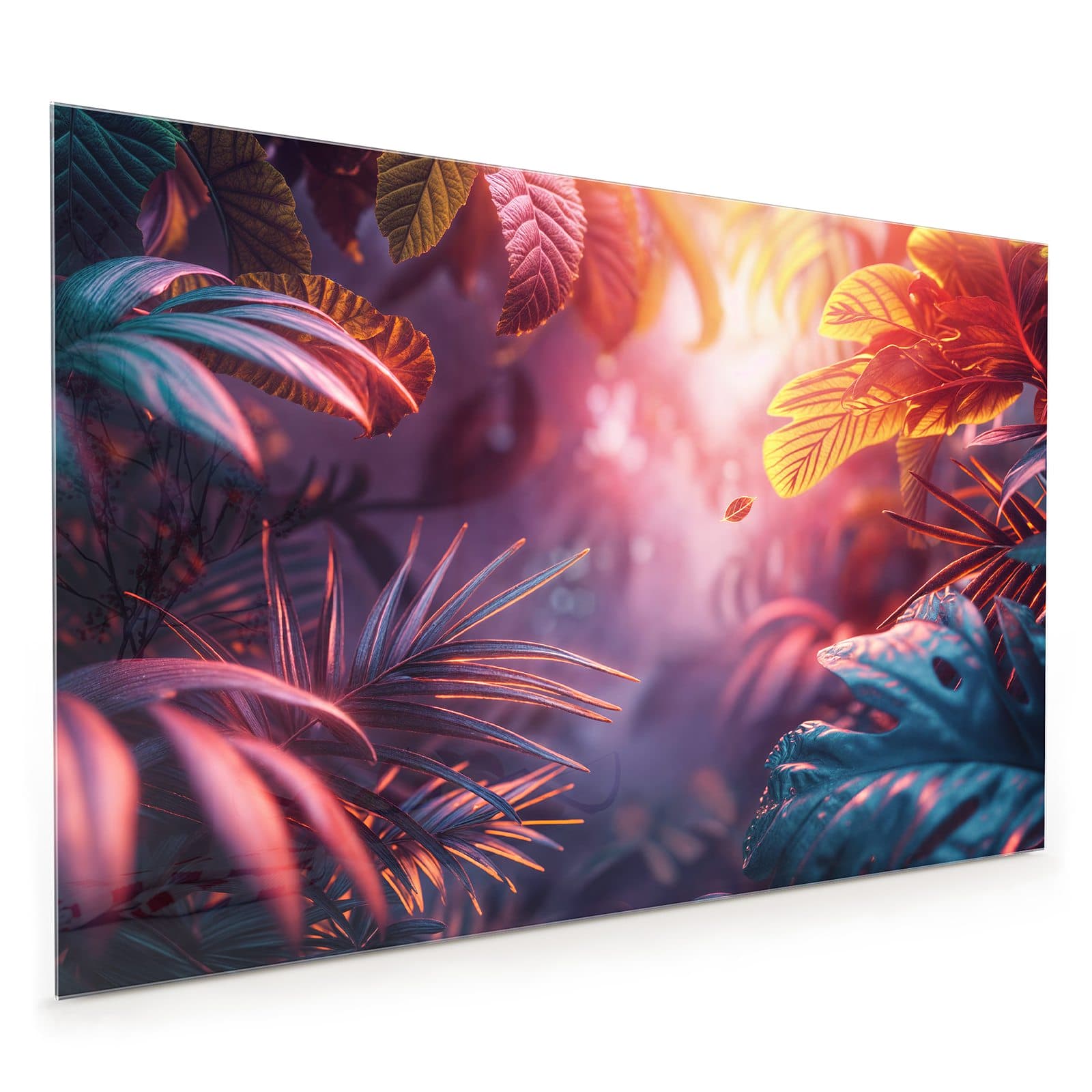 #80 x 120 cm_