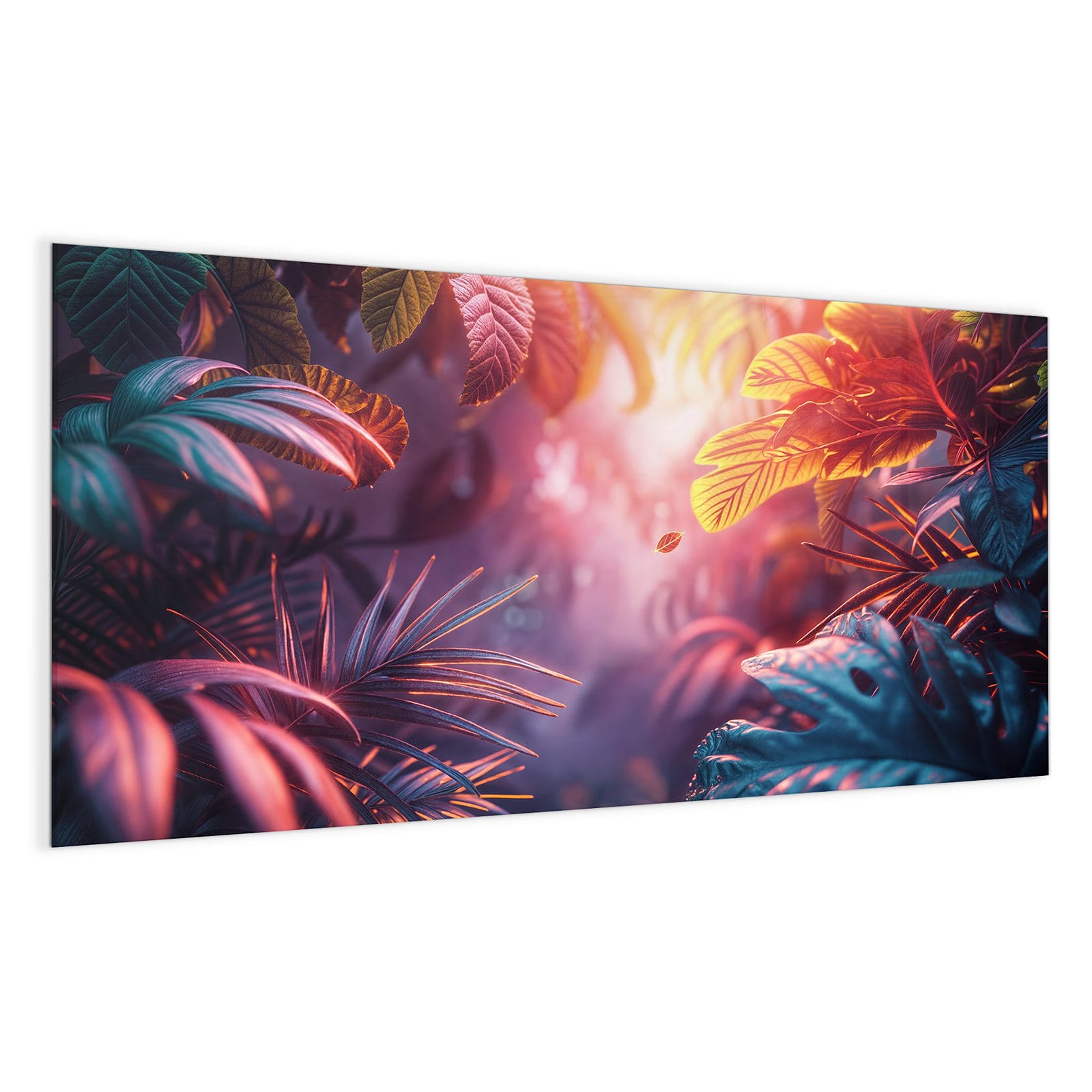 #grösse_100 x 50 cm