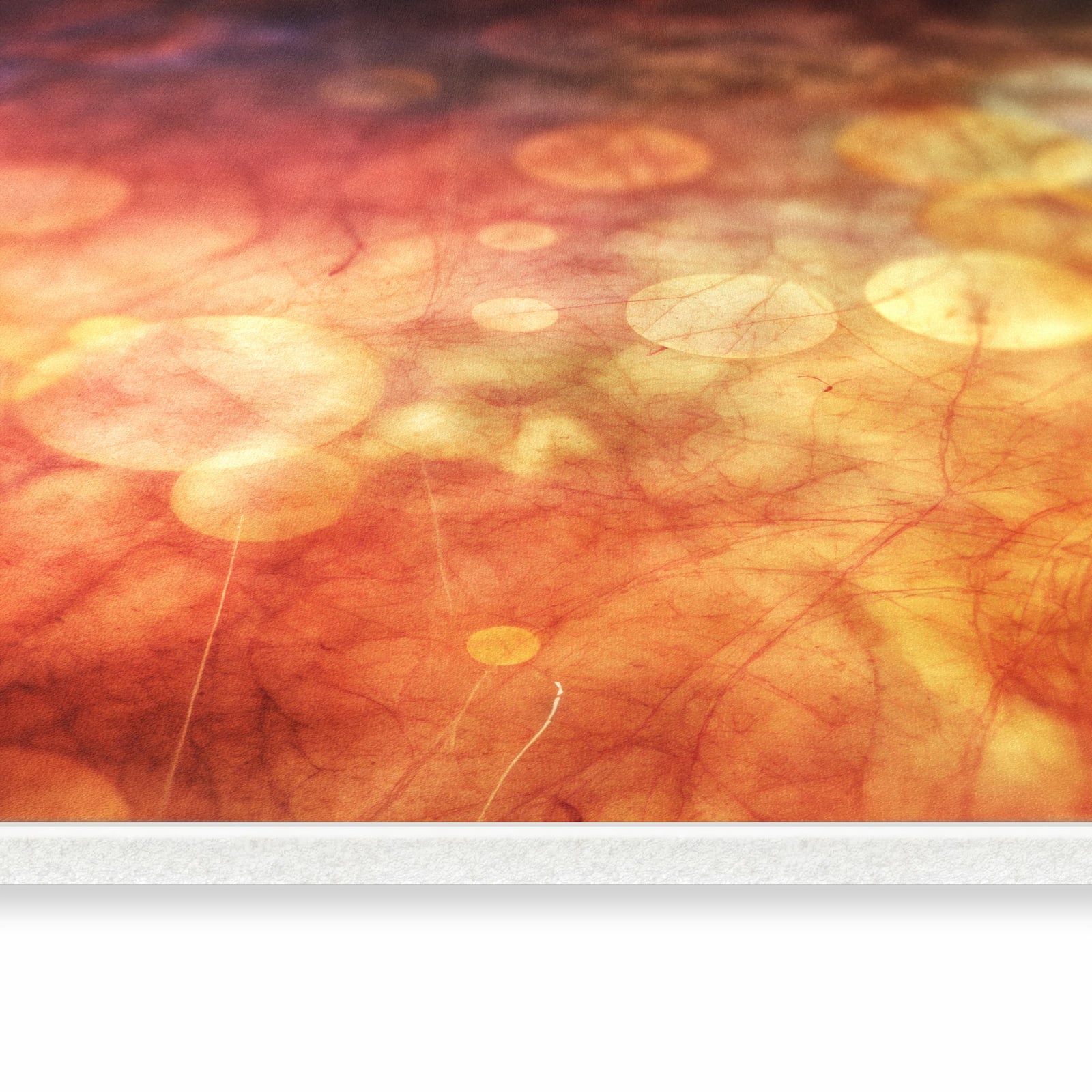 Zeitsparender Küchenläufer mit Motiv Abstrakte Kreise in seitlicher Ansicht für lange Flure