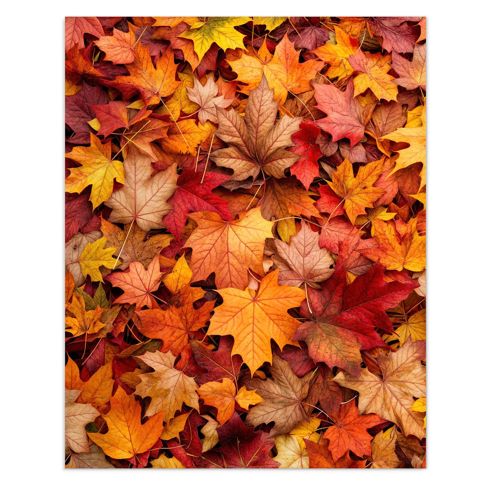 #grösse_60 x 75 cm #grösse_80 x 100 cm