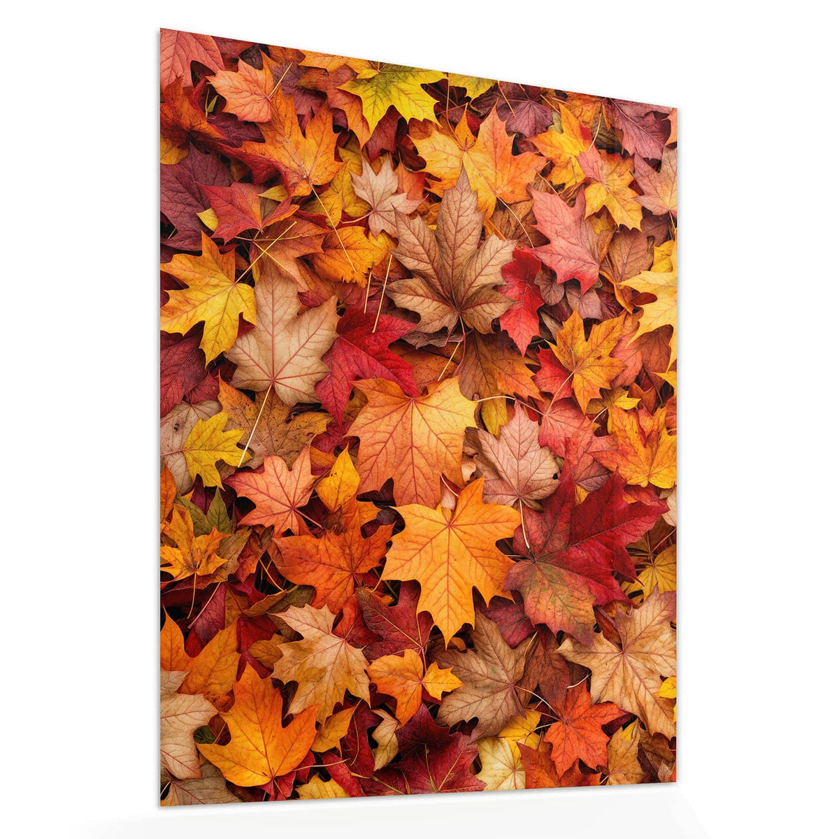 Echtglas, 4 mm – kein Acryl, keine Folie – Wandbild - Ahornblätter von oben - Hochformat