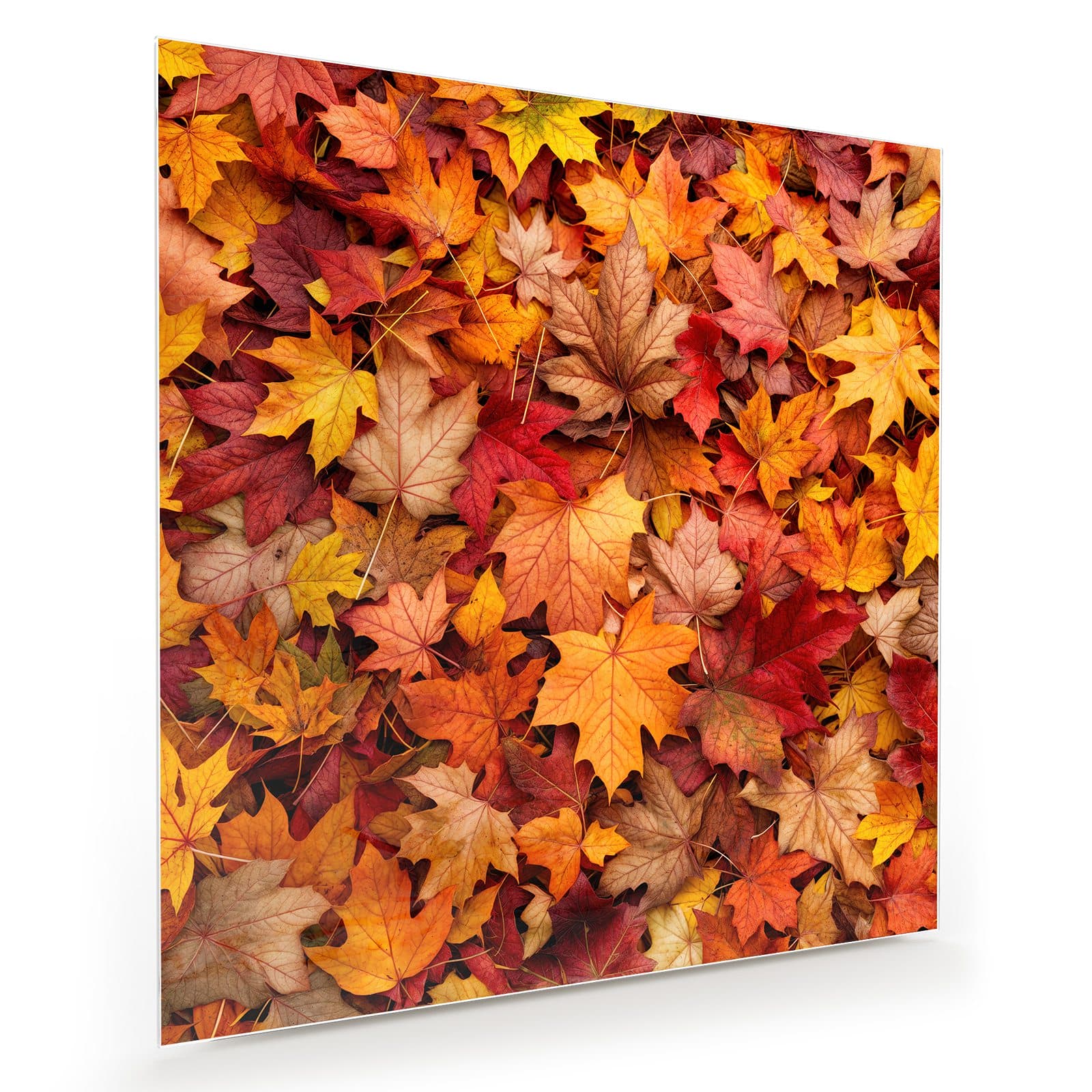 #grösse_30 x 30 cm #grösse_40 x 40 cm #grösse_50 x 50 cm #grösse_60 x 60 cm #grösse_70 x 70 cm #grösse_80 x 80 cm #grösse_90 x 90 cm #grösse_100 x 100 cm