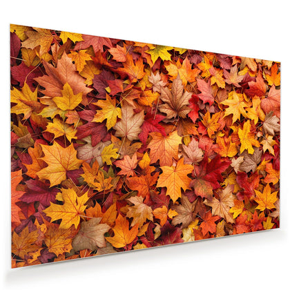 Wandbild mit dem Motiv Ahornblätter von oben
