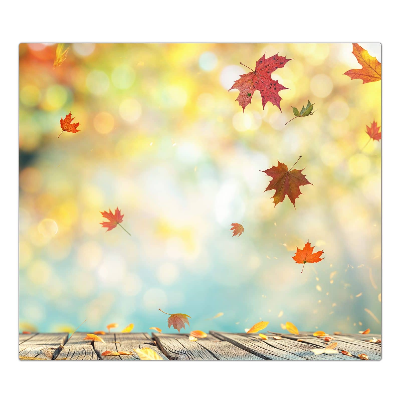 1-teilige Herdabdeckplatte mit Herbstlaub Wald-Motiv in der Frontansicht #grösse_1-Teilig (60x52cm)