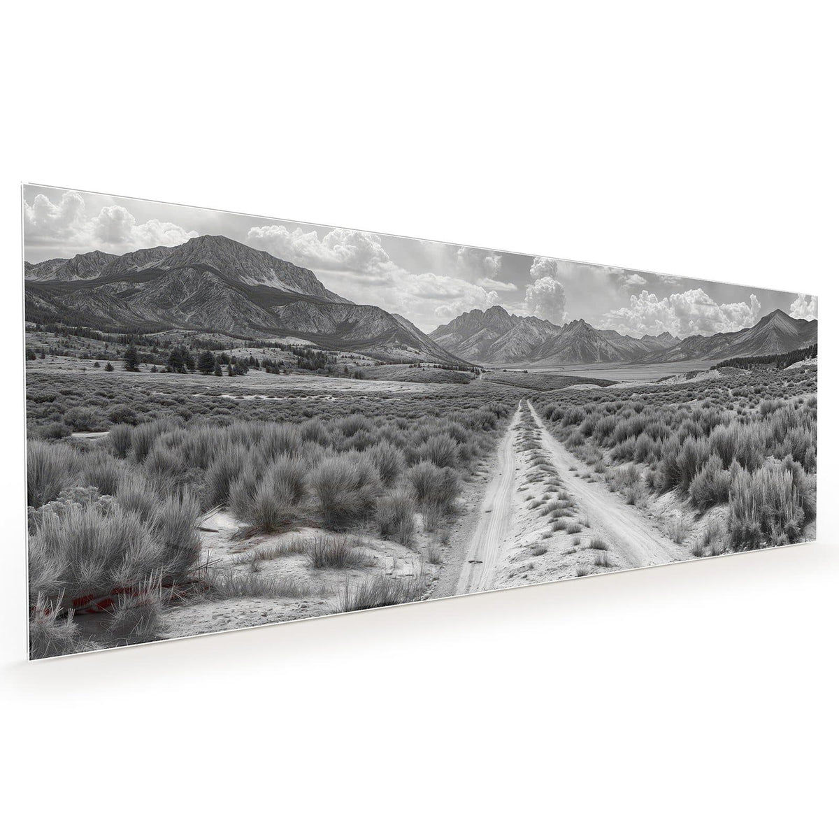 Küchenrückwand aus Glas im Hochformat mit Motiv Gebirgspanorama: Schwarzweißer Feldweg durch Buschland auf eine Bergkette unter Quellwolken zu #grösse_40 x 100 cm #grösse_50 x 125 cm #grösse_60 x 150 cm