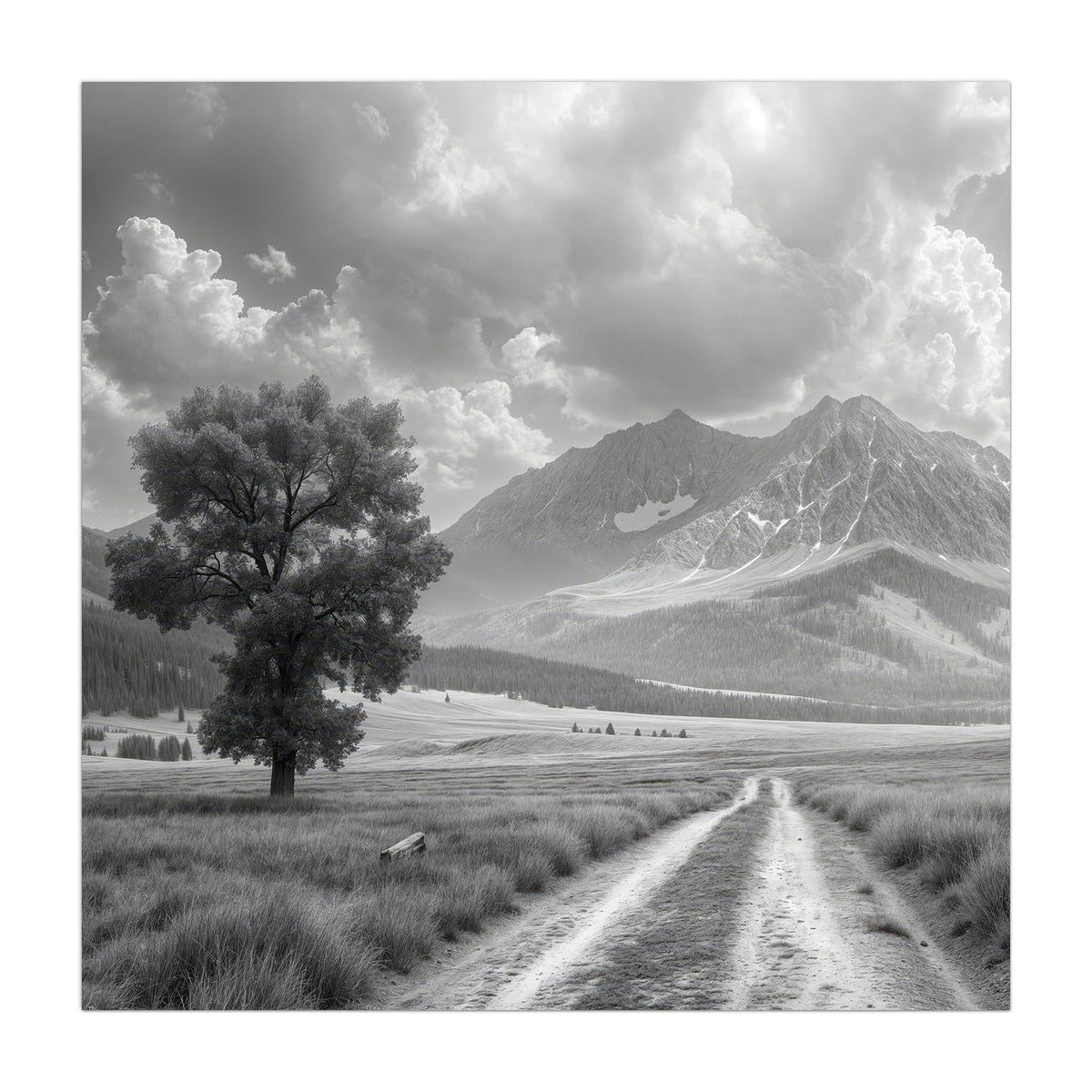 Schwarzweißfoto: einzelner Baum links an einem Feldweg, dahinter Bergkette mit Wolkentürmen.