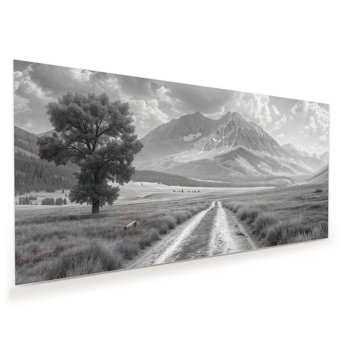 Schwarzweißfoto: einzelner Baum links an einem Feldweg, dahinter Bergkette mit Wolkentürmen.