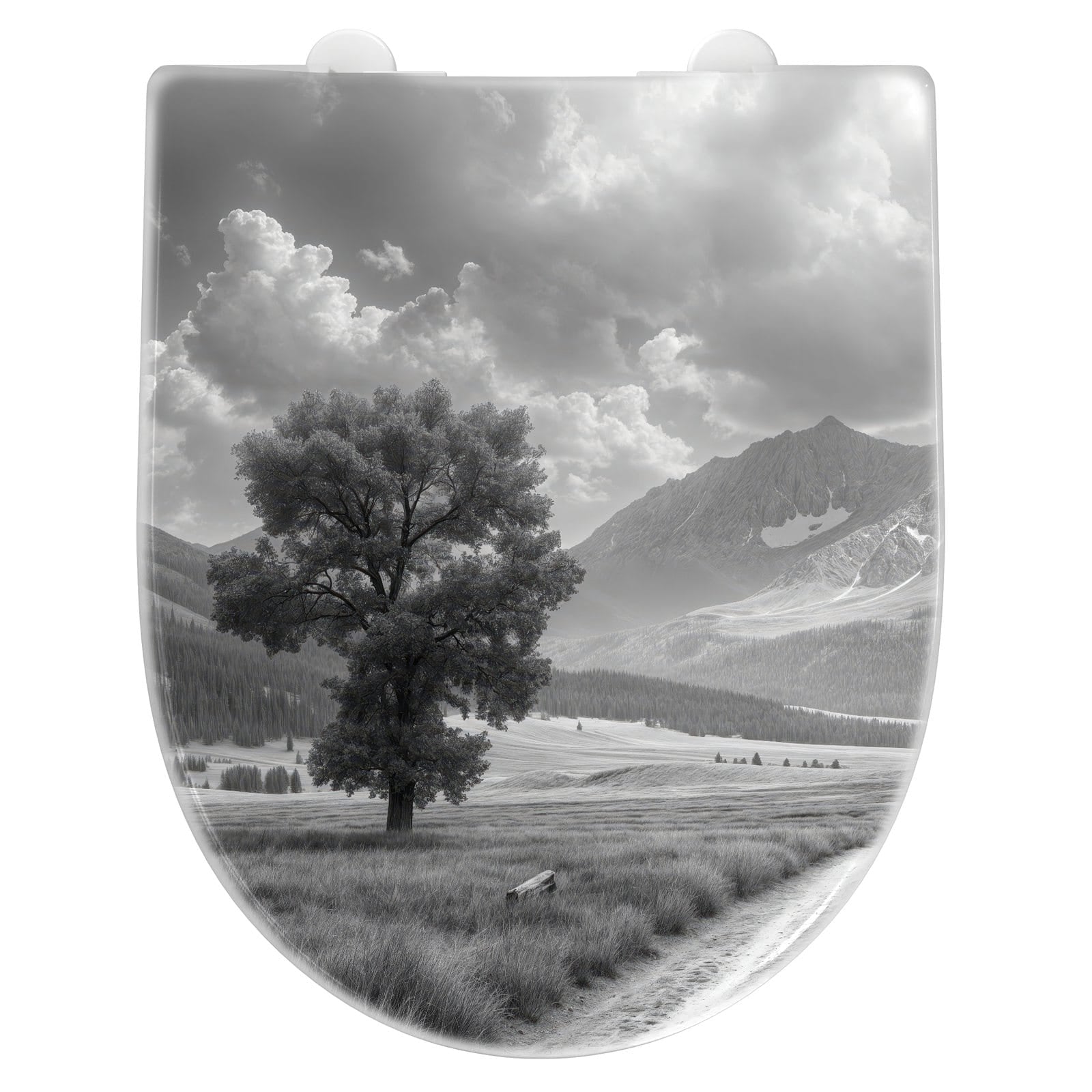 WC-Sitz mit Absenkautomatik Berglandschaft Weg