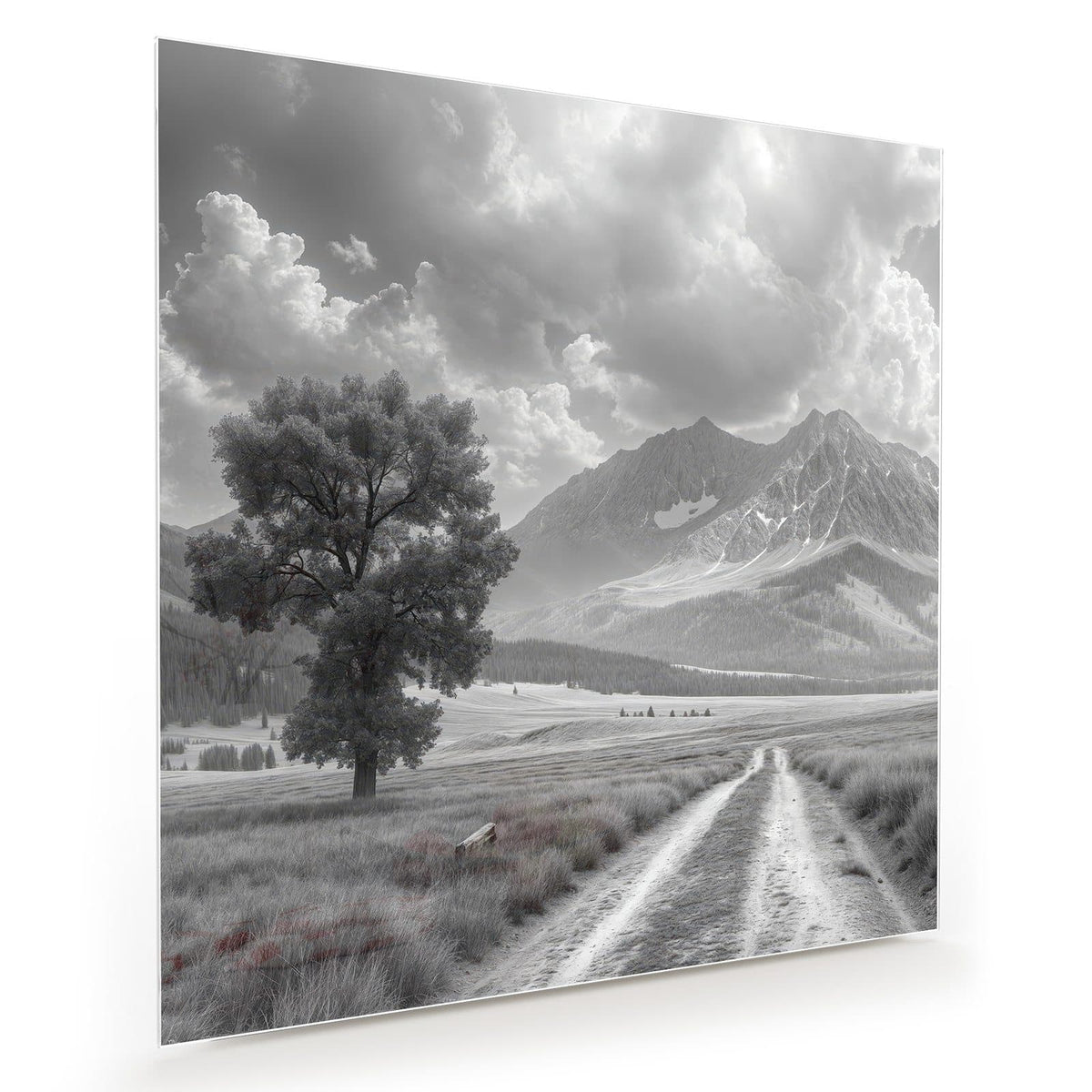 Schwarzweißfoto: einzelner Baum links an einem Feldweg, dahinter Bergkette mit Wolkentürmen.