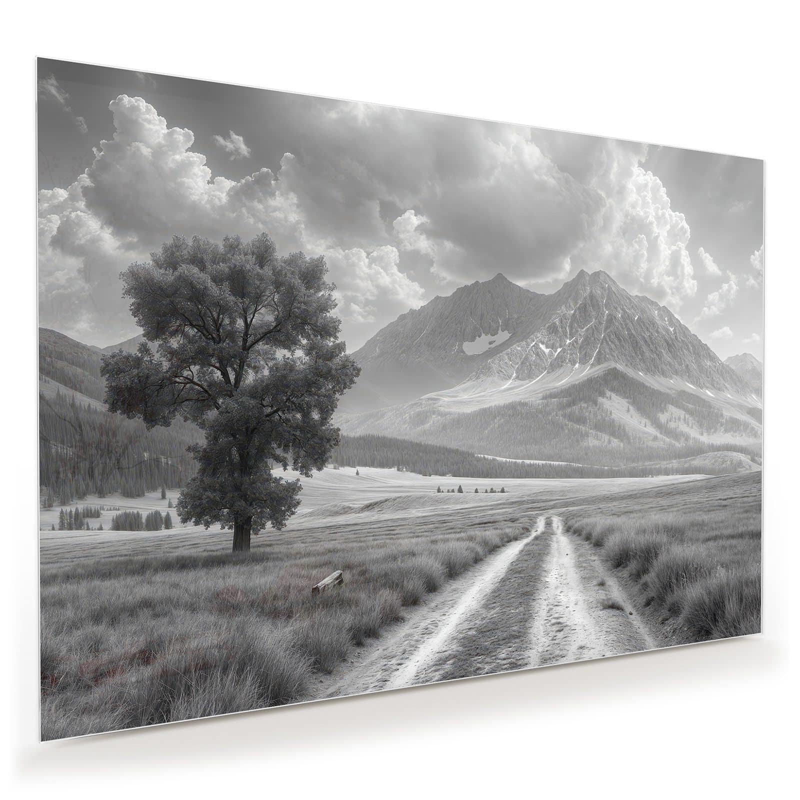 #grösse_100 x 70 cm