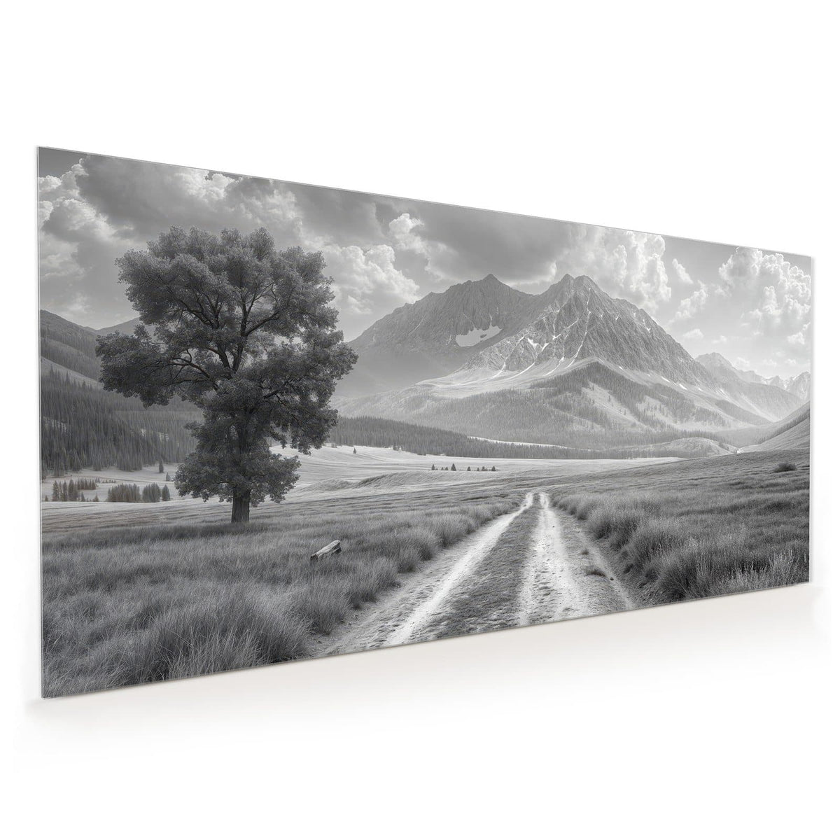 Küchenrückwand aus Glas im Hochformat mit Motiv Einsamer Baum vor Bergen: Schwarzweißfoto: einzelner Baum links an einem Feldweg