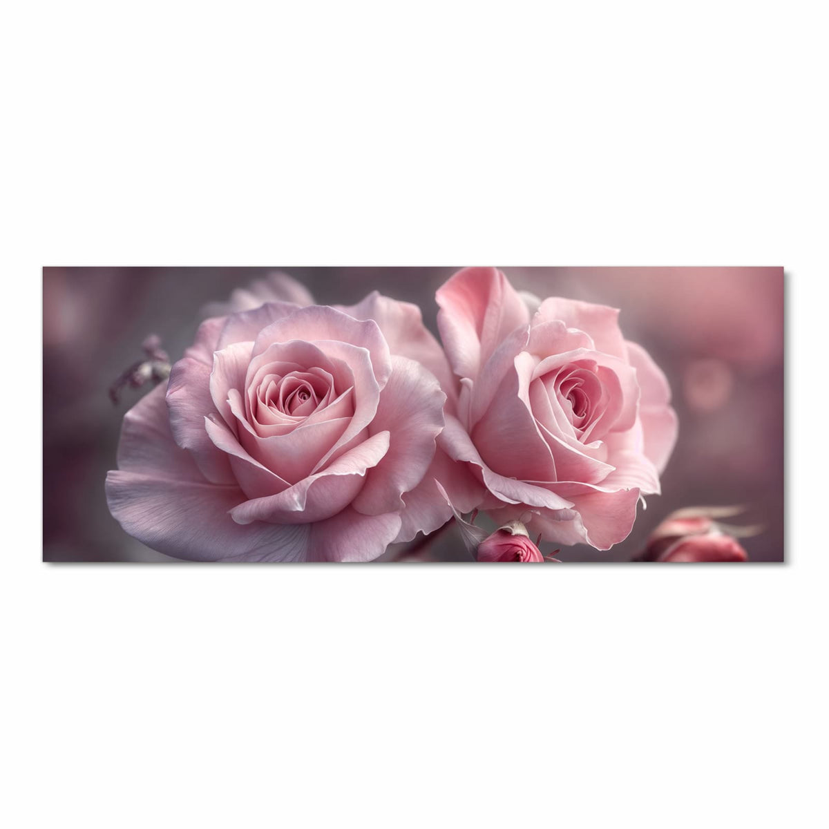 Zwei geöffnete rosa Rosen mit Knospe vor weich verschwommenem Grund