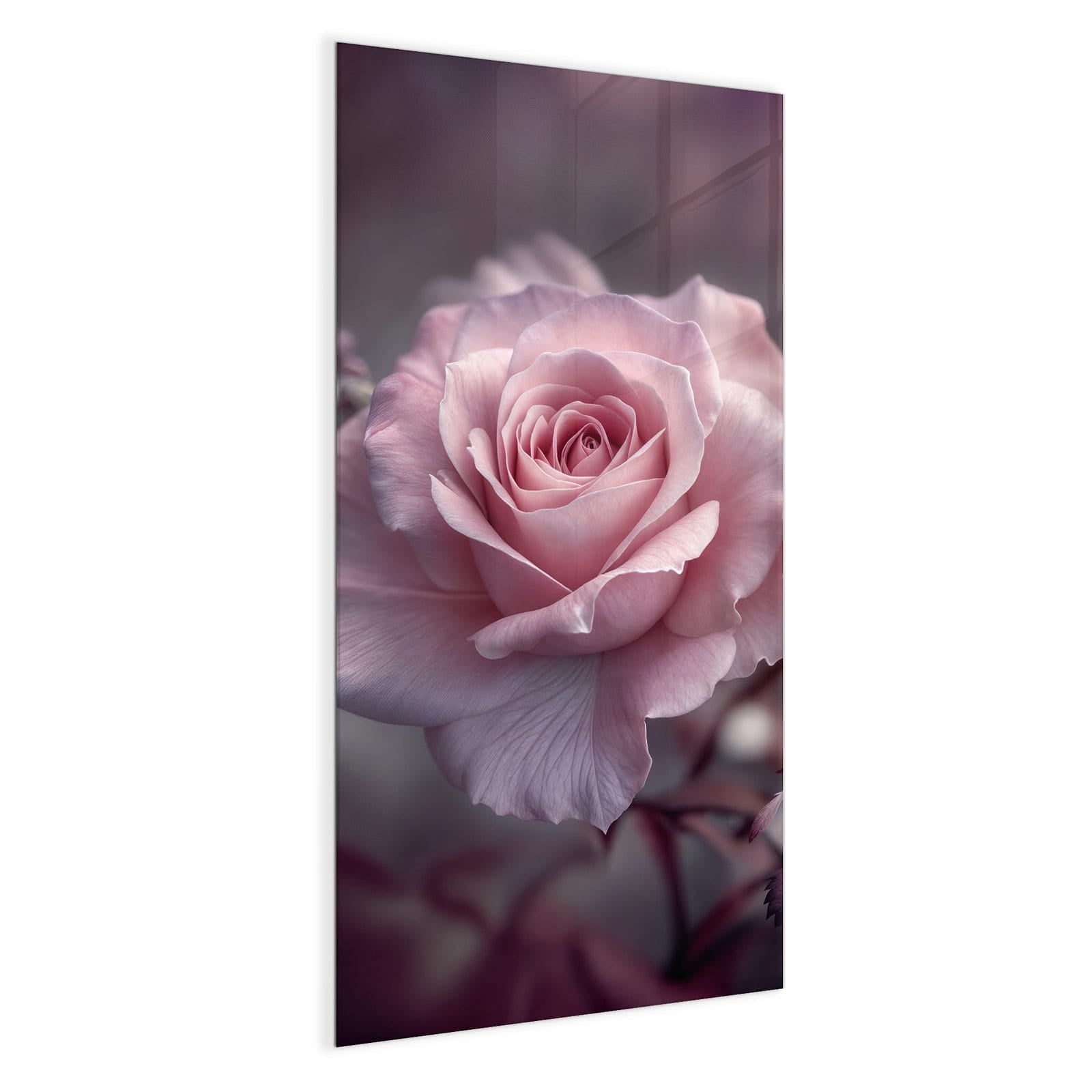 #grösse_50 x 100 cm