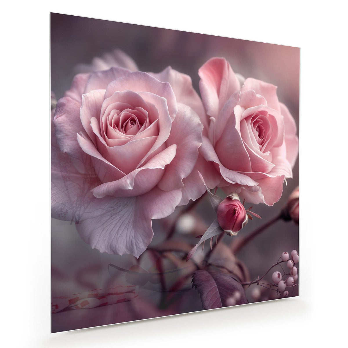 Zwei geöffnete rosa Rosen mit Knospe vor weich verschwommenem Grund