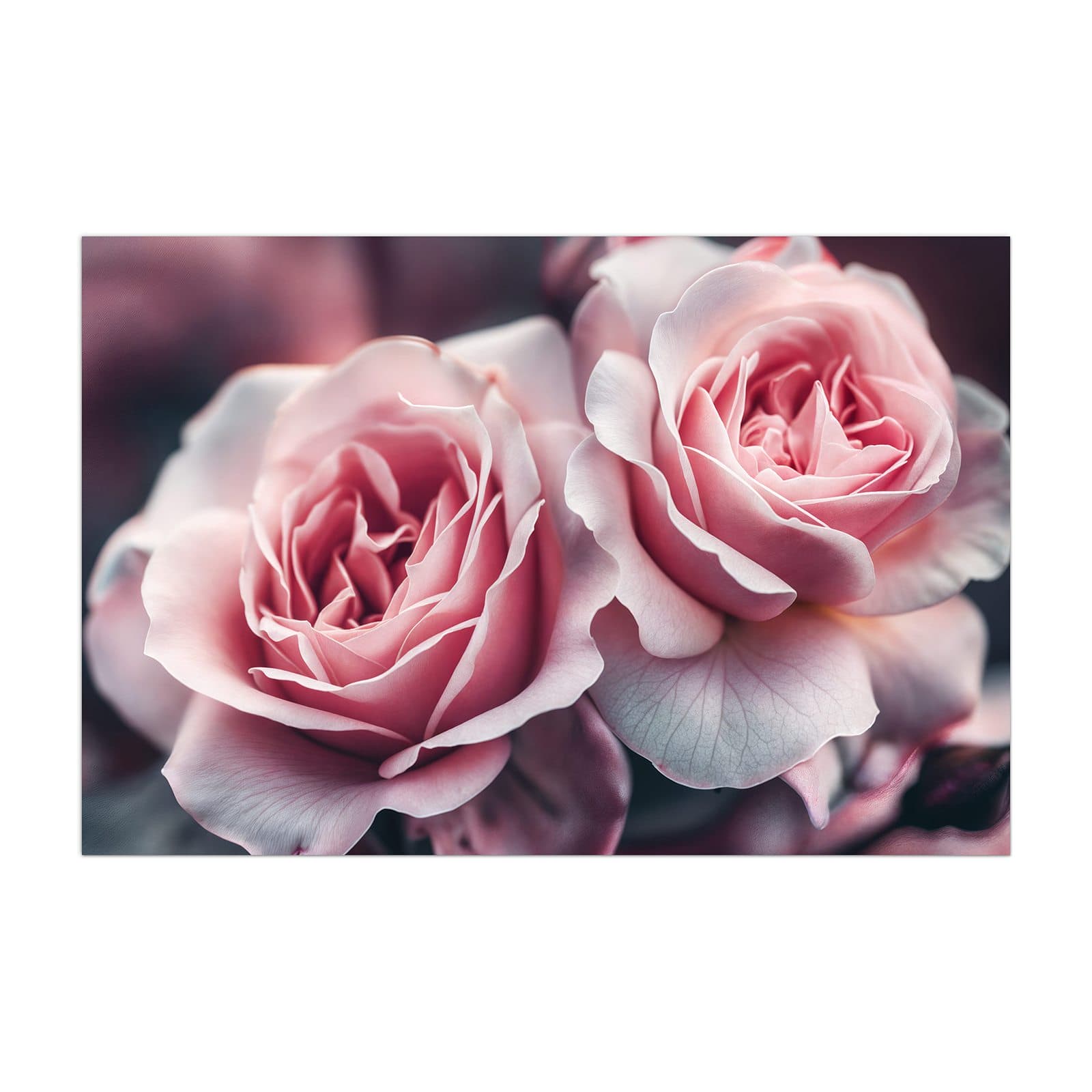 #grösse_40 x 60 cm #grösse_50 x 75 cm #grösse_60 x 90 cm #grösse_80 x 120 cm