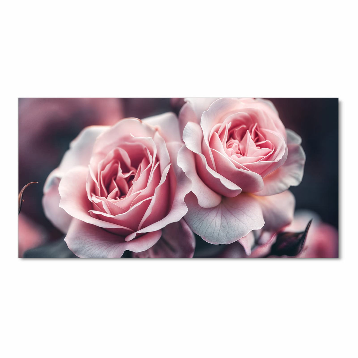Langlebiger Küchenläufer mit Motiv Rosenblüten Duo in Frontansicht, waschbar