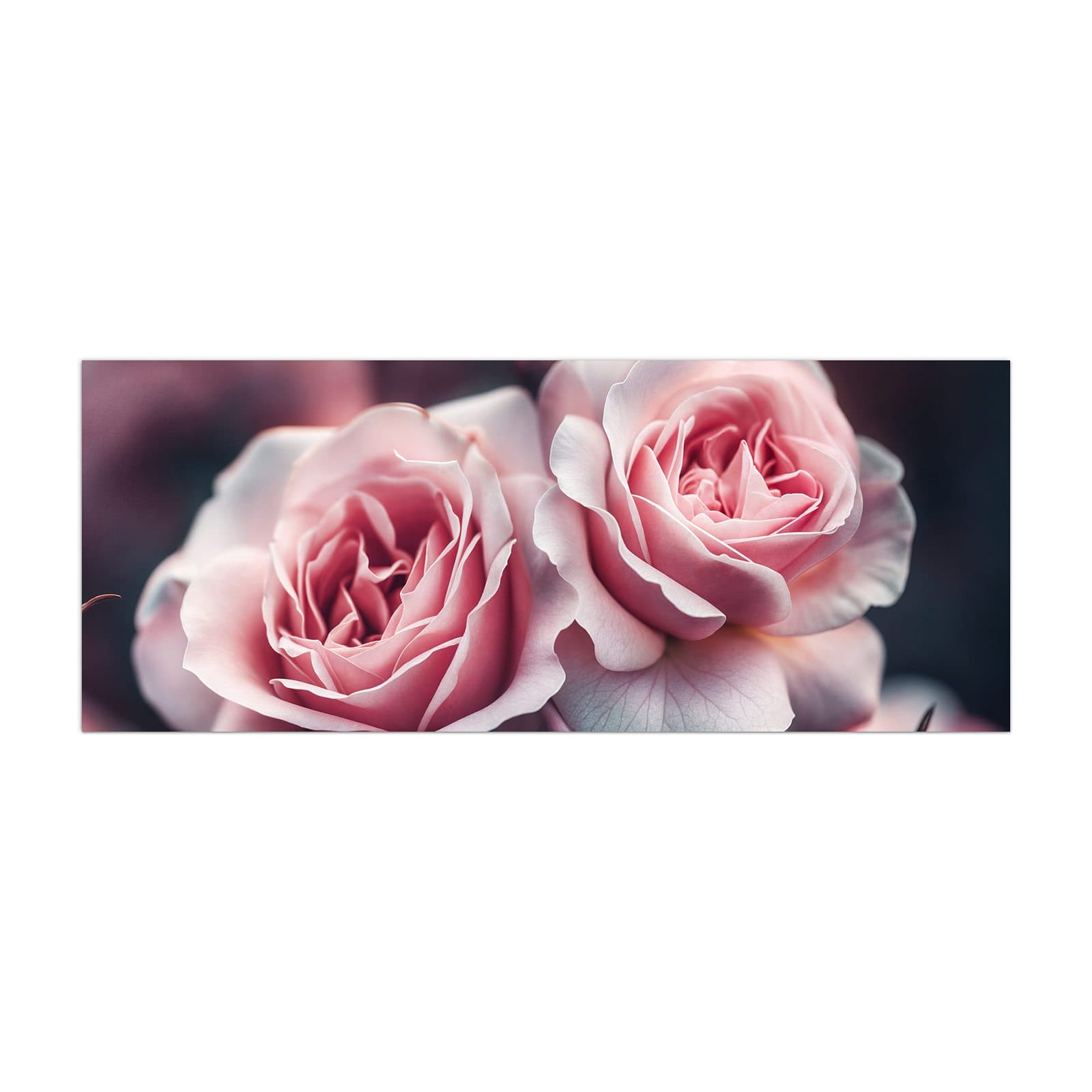 #grösse_40 x 100 cm #grösse_50 x 125 cm #grösse_60 x 150 cm