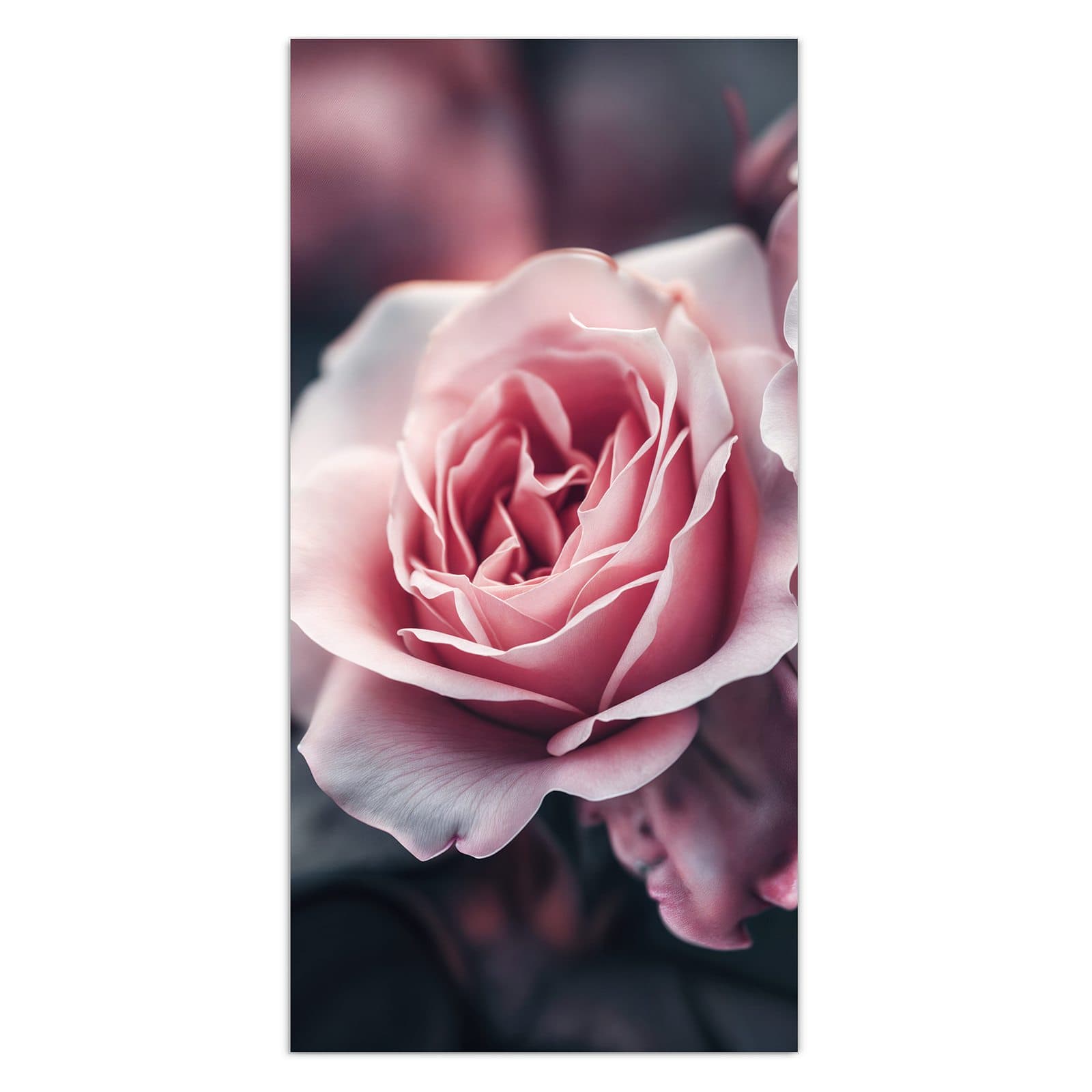 #grösse_30 x 60 cm #grösse_40 x 80 cm #grösse_50 x 100 cm #grösse_55 x 110 cm #grösse_60 x 120 cm