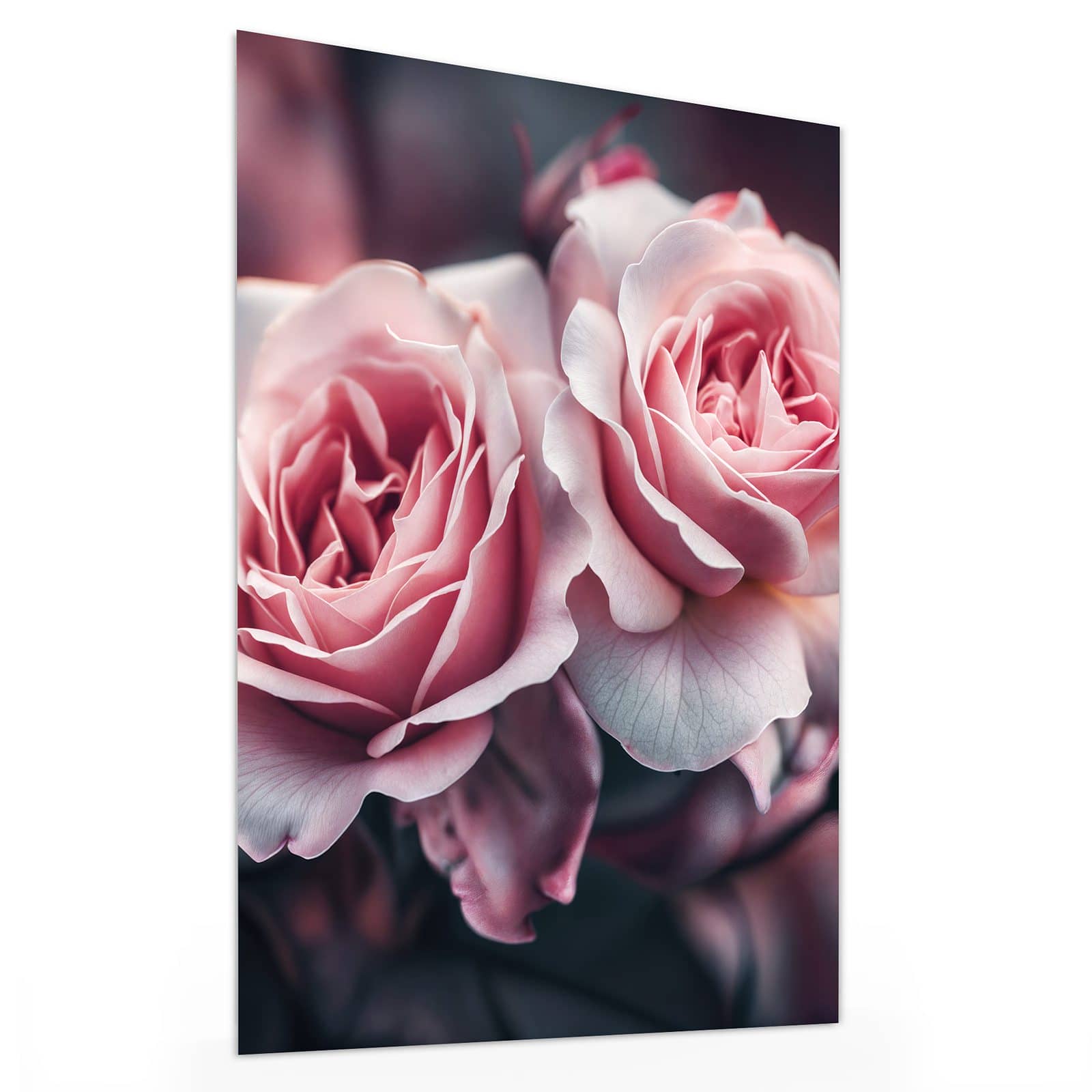 #grösse_30 x 40 cm #grösse_60 x 80 cm #grösse_75 x 100 cm