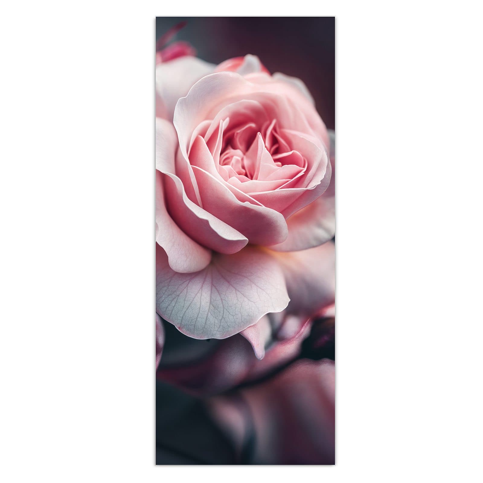 #grösse_50 x 125 cm #grösse_40 x 100 cm #grösse_60 x 150 cm