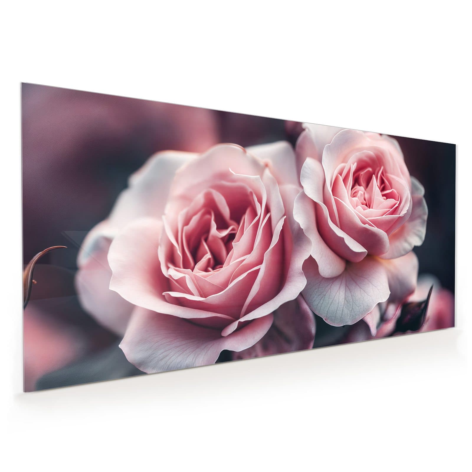 #60 x 120 cm_