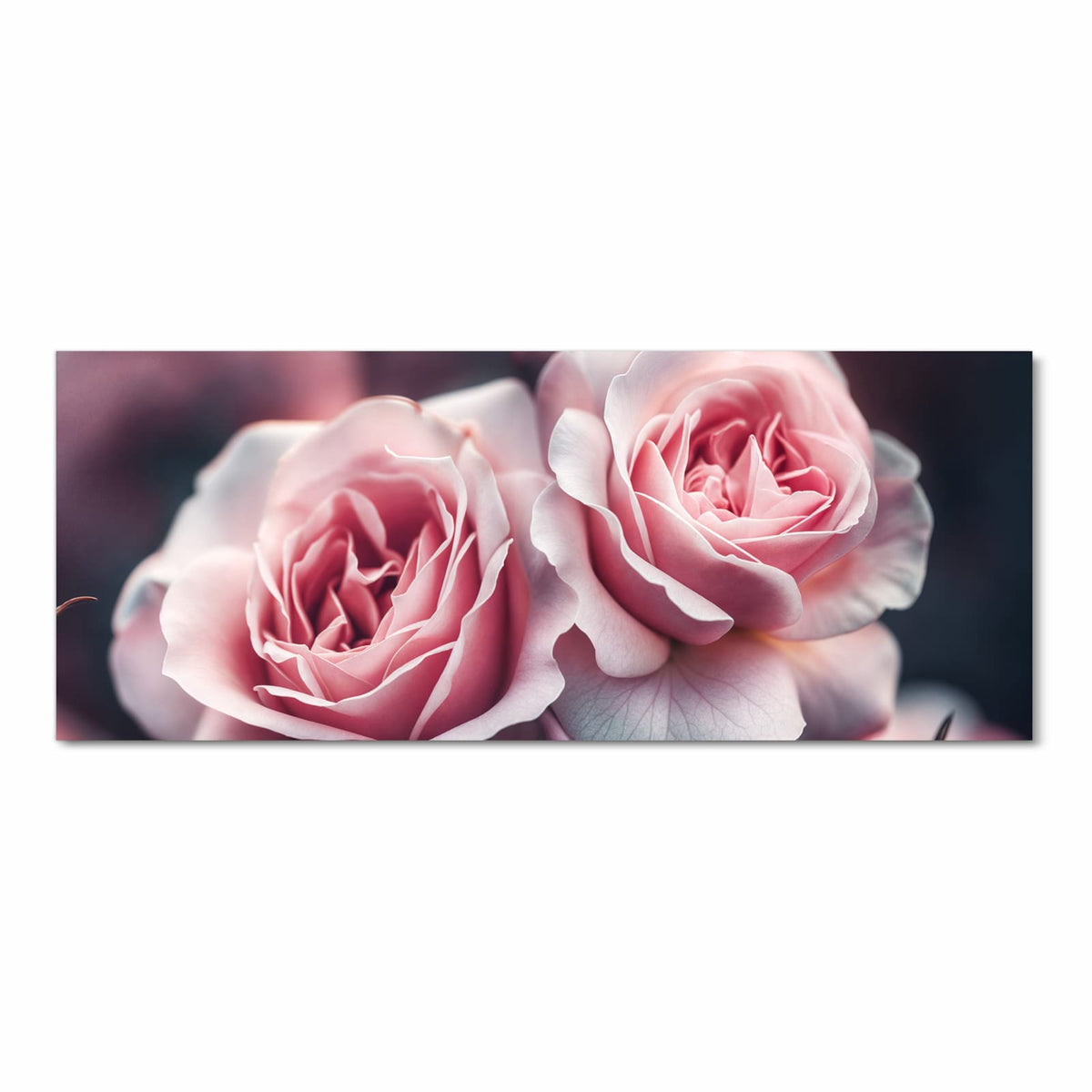 Rutschfester moderner Küchenläufer mit Motiv Rosenblüten Duo in Frontansicht