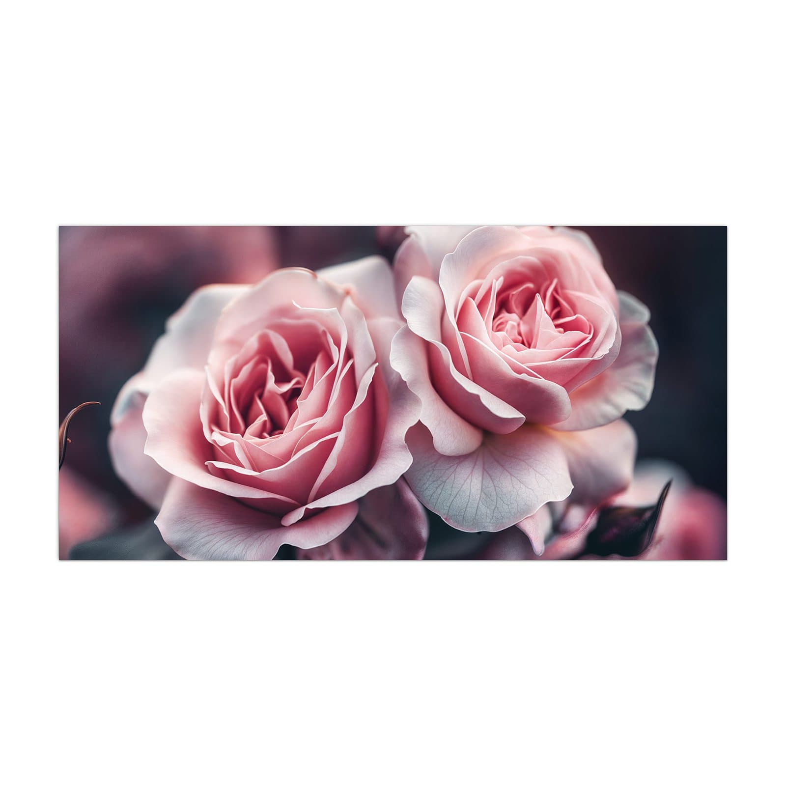 #grösse_40 x 80 cm #grösse_50 x 100 cm #grösse_55 x 110 cm #grösse_60 x 120 cm