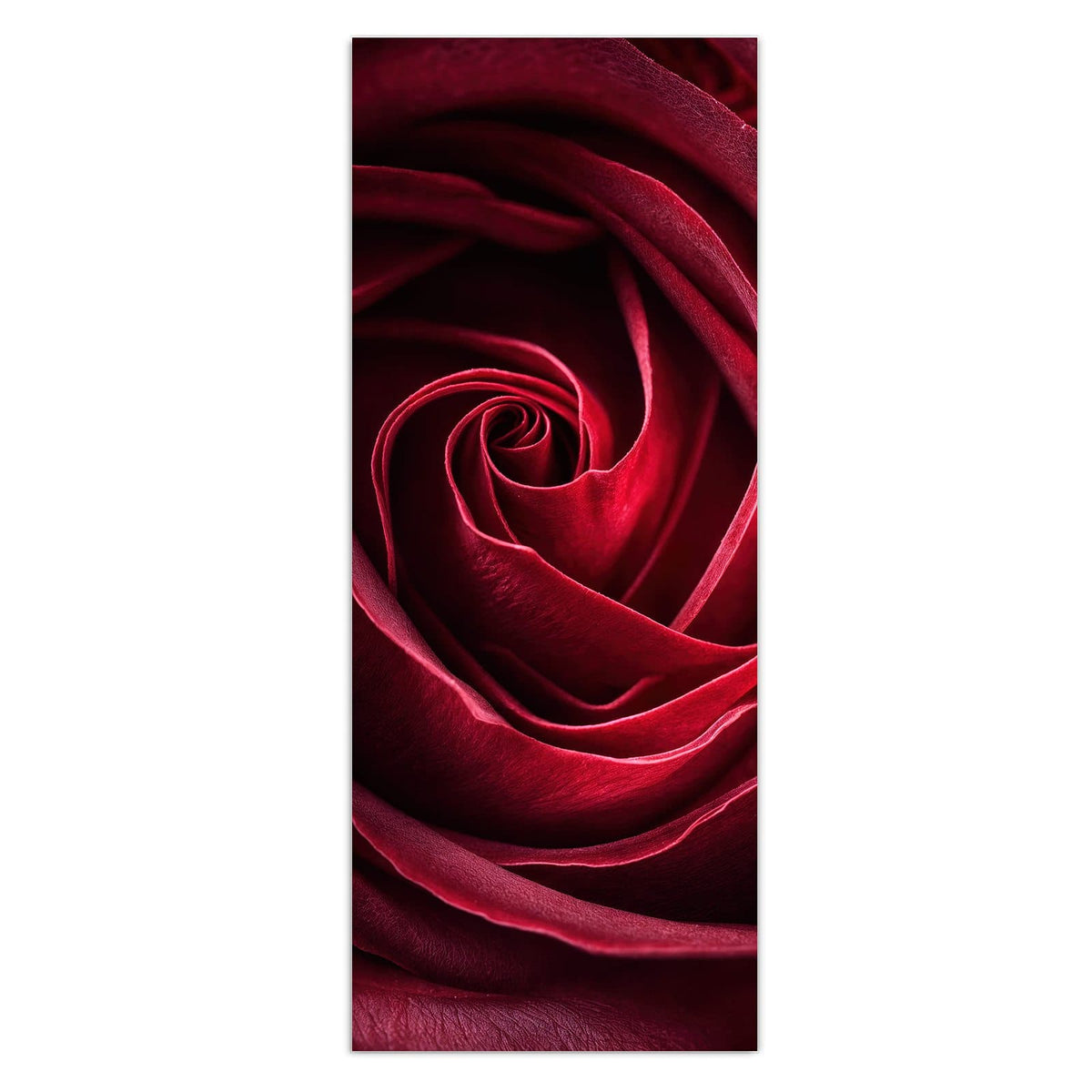 Tiefrote Rosenblüte formatfüllend, die Blätter drehen sich spiralig zur Mitte.